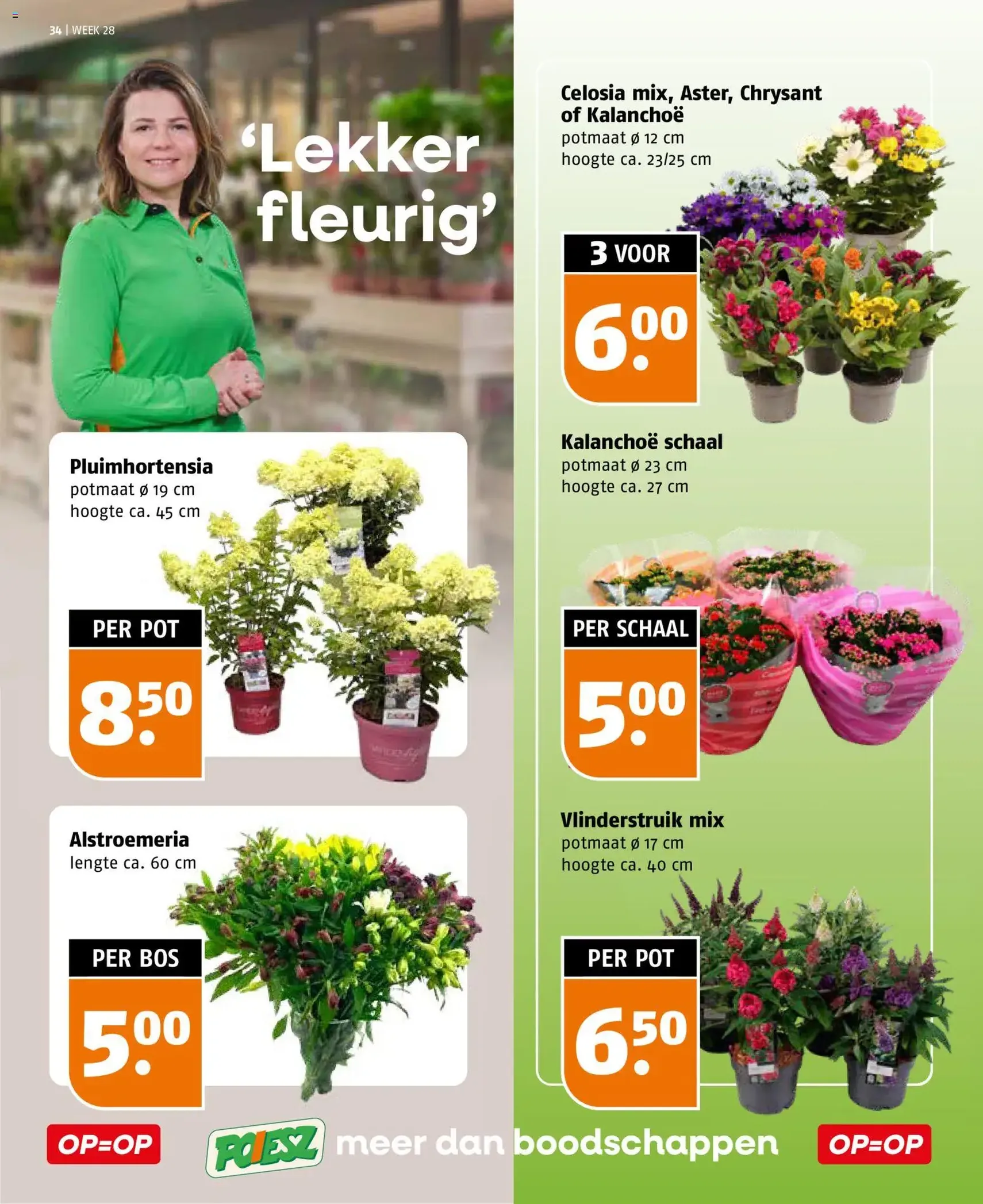 Poiesz folder - geldige folder vanaf 05-07-2026 pagina 34 van 37