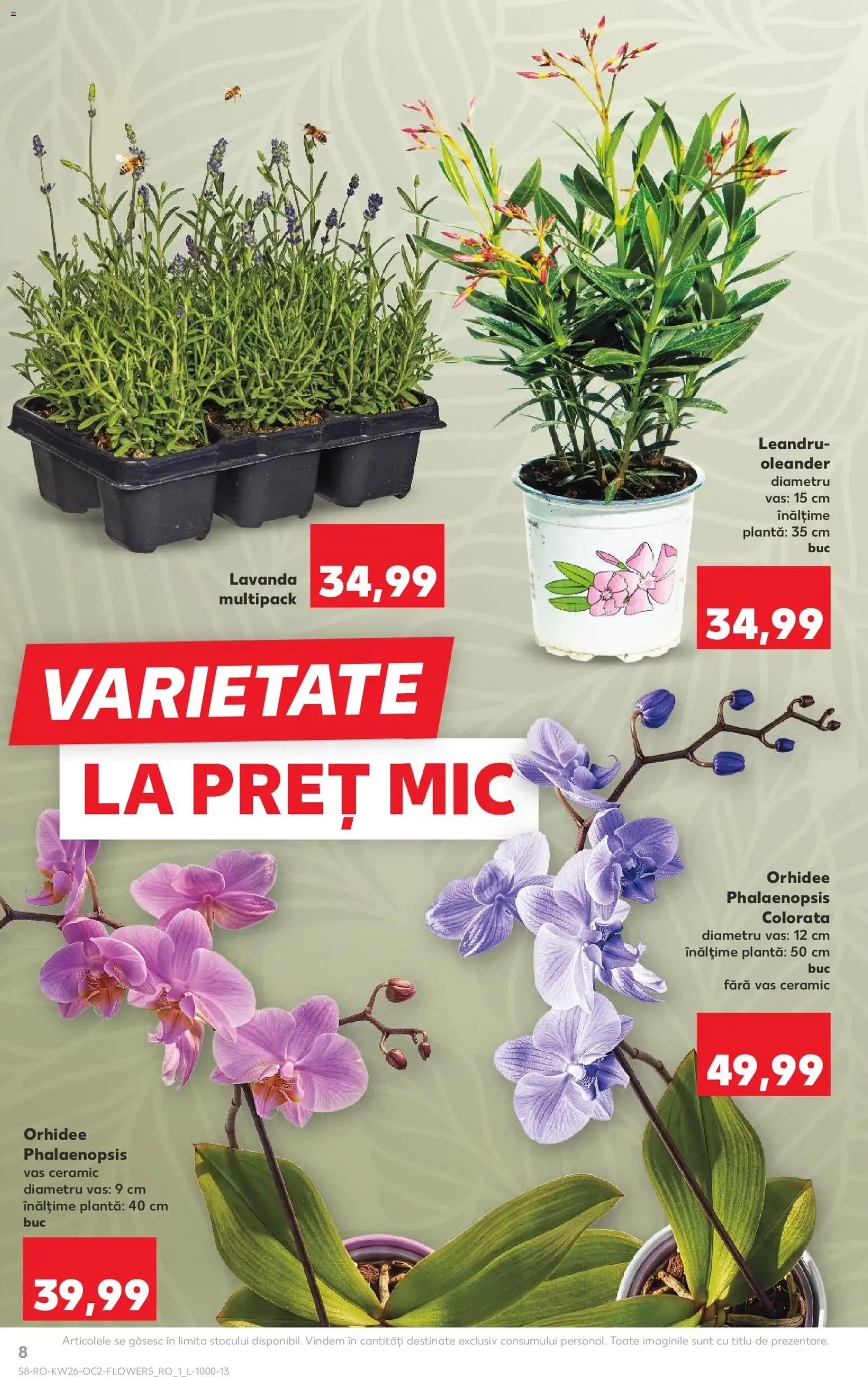 Kaufland Catalog - cataloage valabile începând cu 24.06.2026 pagina 8 din 60
