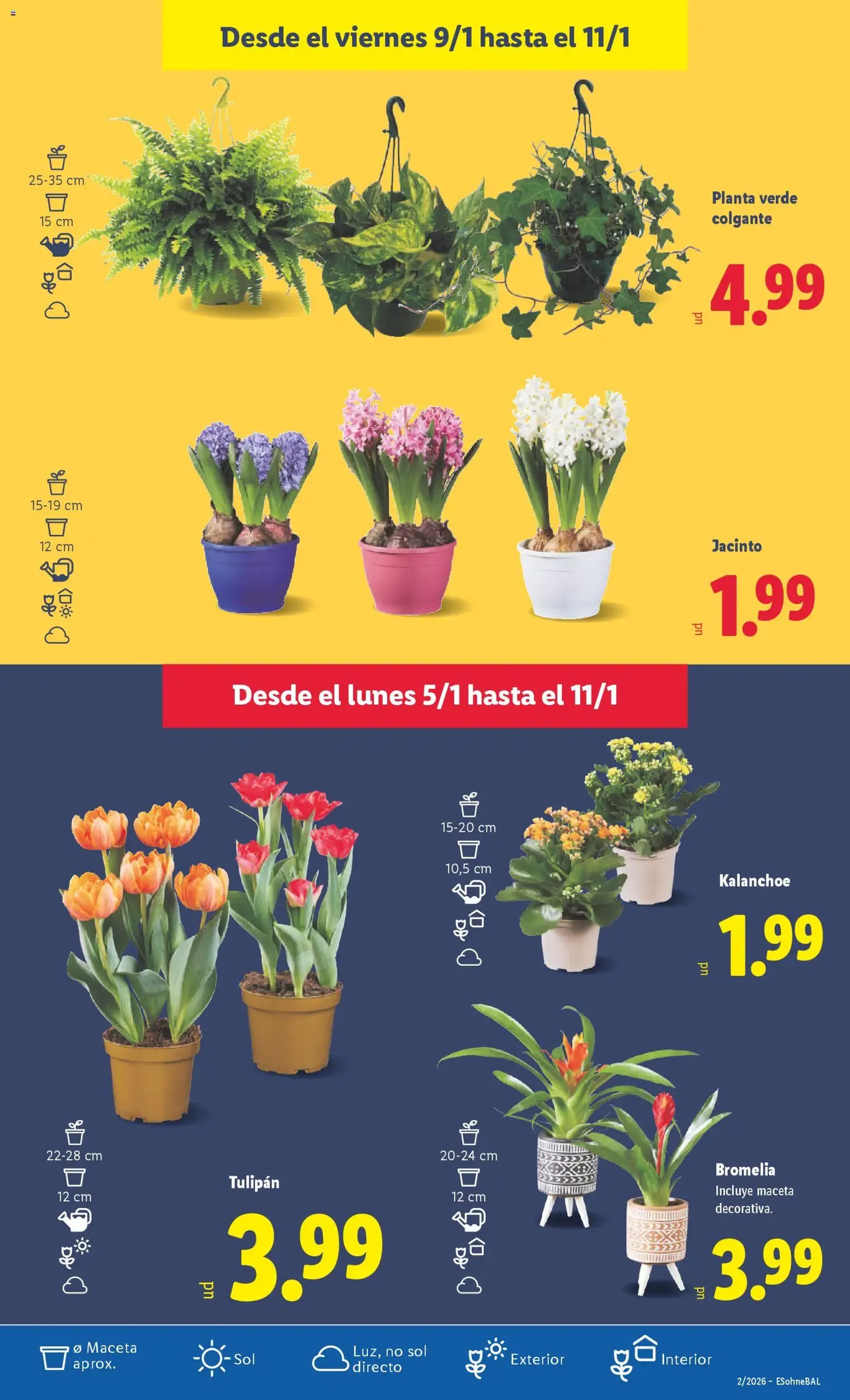 Lidl folleto - folleto válido desde 05/01/2026 página 33 de 33