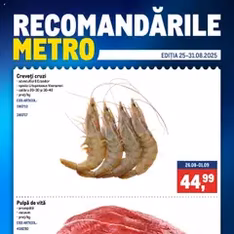 Catalog Metro - previzualizare cataloage valabilă începând cu 25.08.2025