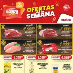 Vista previa del folleto Makro ofertas válido desde 21/08/2025