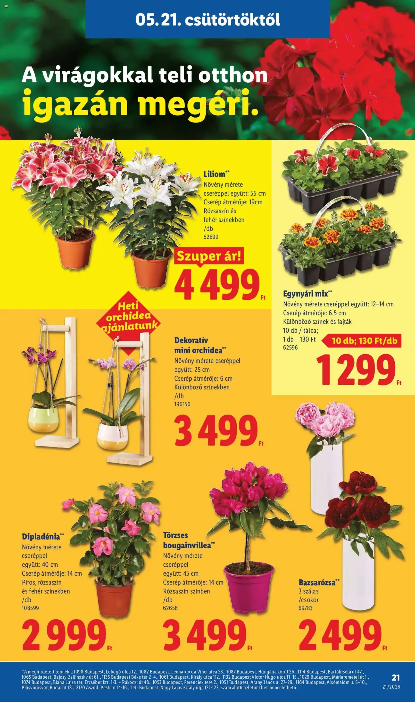 Lidl akciós újság - 2026.05.21. érvényes szórólap 21 oldal 84 oldalból