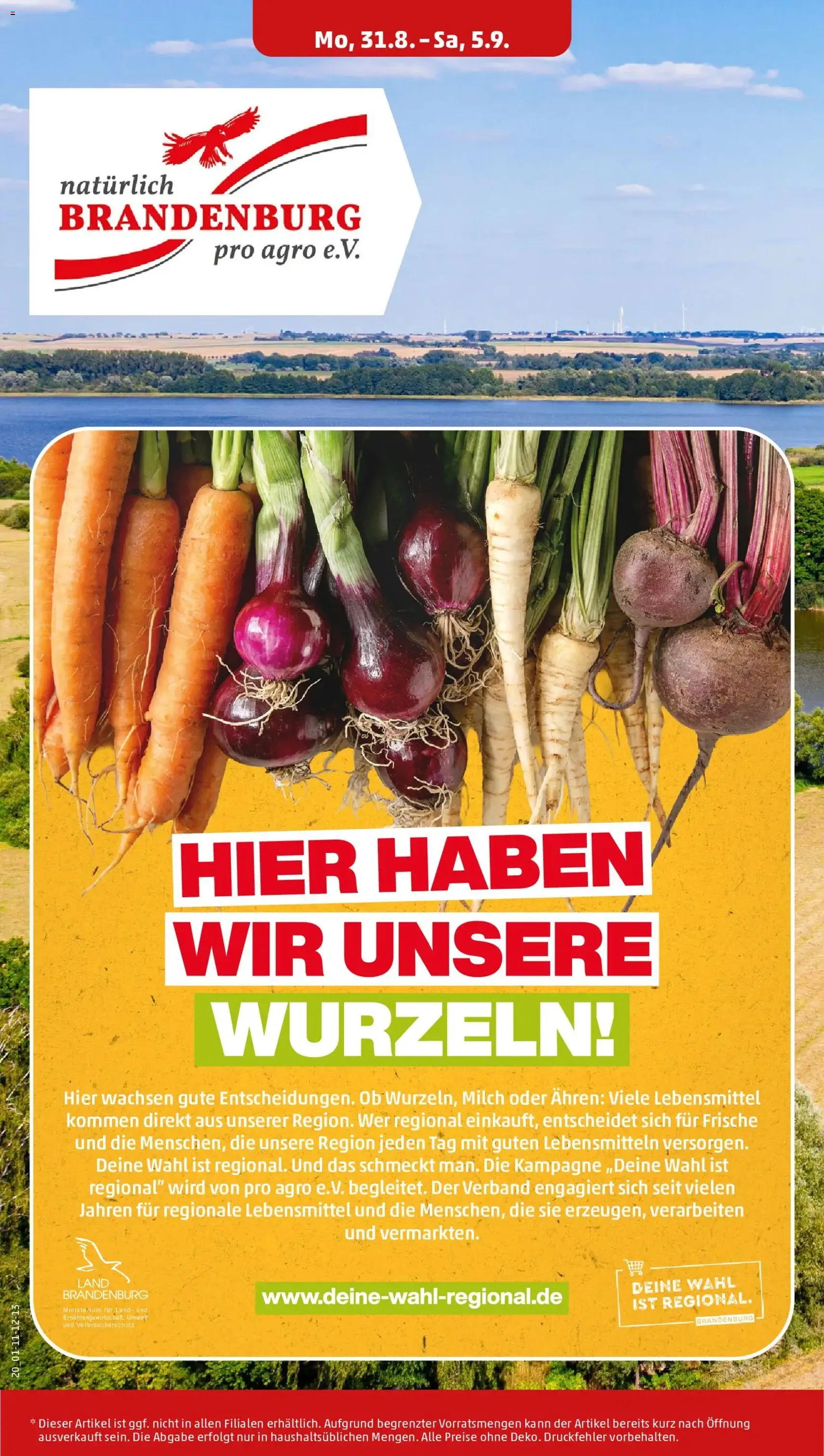 Penny Prospekt - Gültiger Prospekt ab 31.08.2026, Seite 24 von insgesamt 53