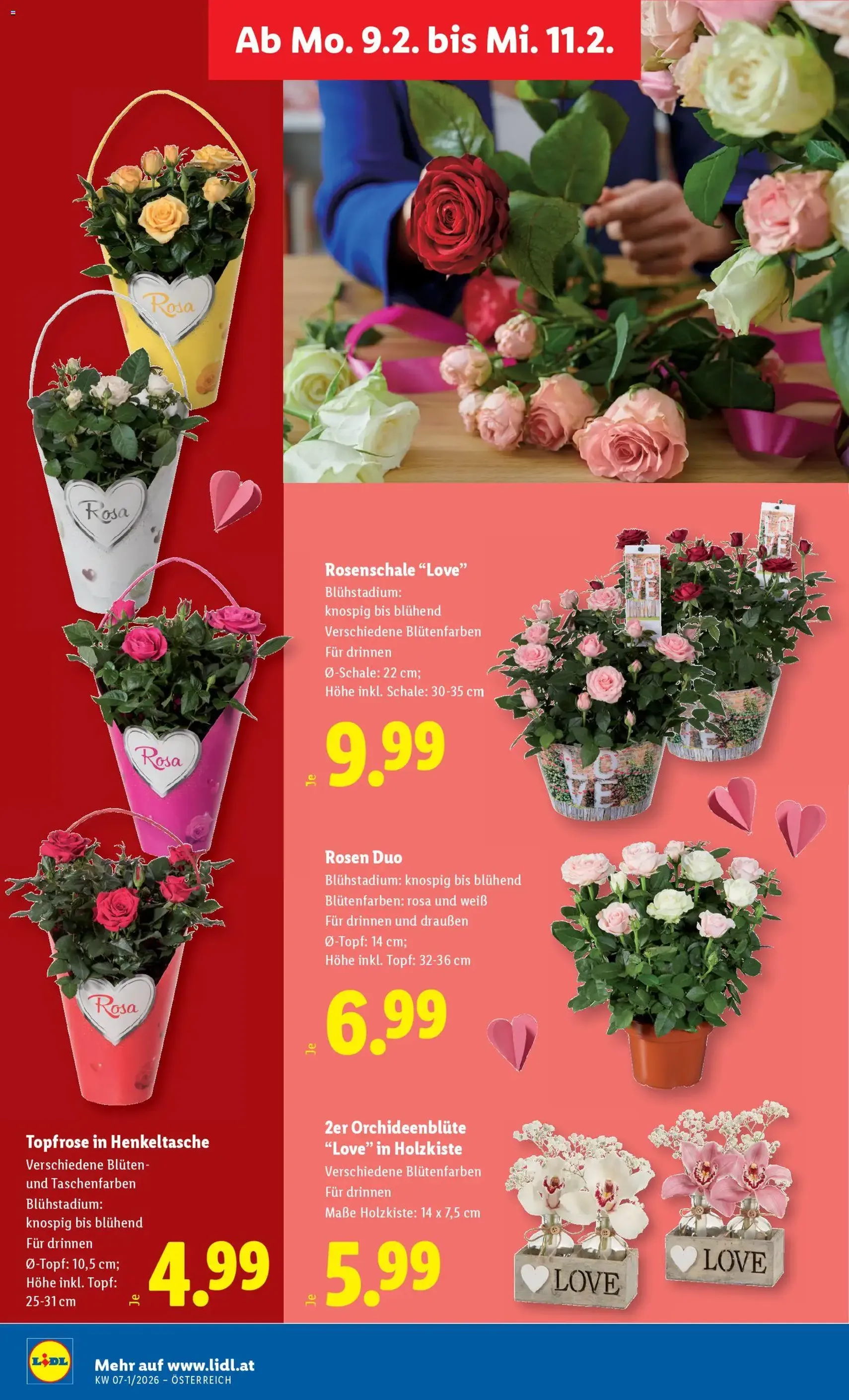 Lidl Flugblatt - Gültiger Prospekt ab 05.02.2026, Seite 30 von insgesamt 51