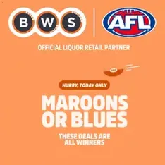 BWS catalogue - Flyer preview valid from 17/06/2026