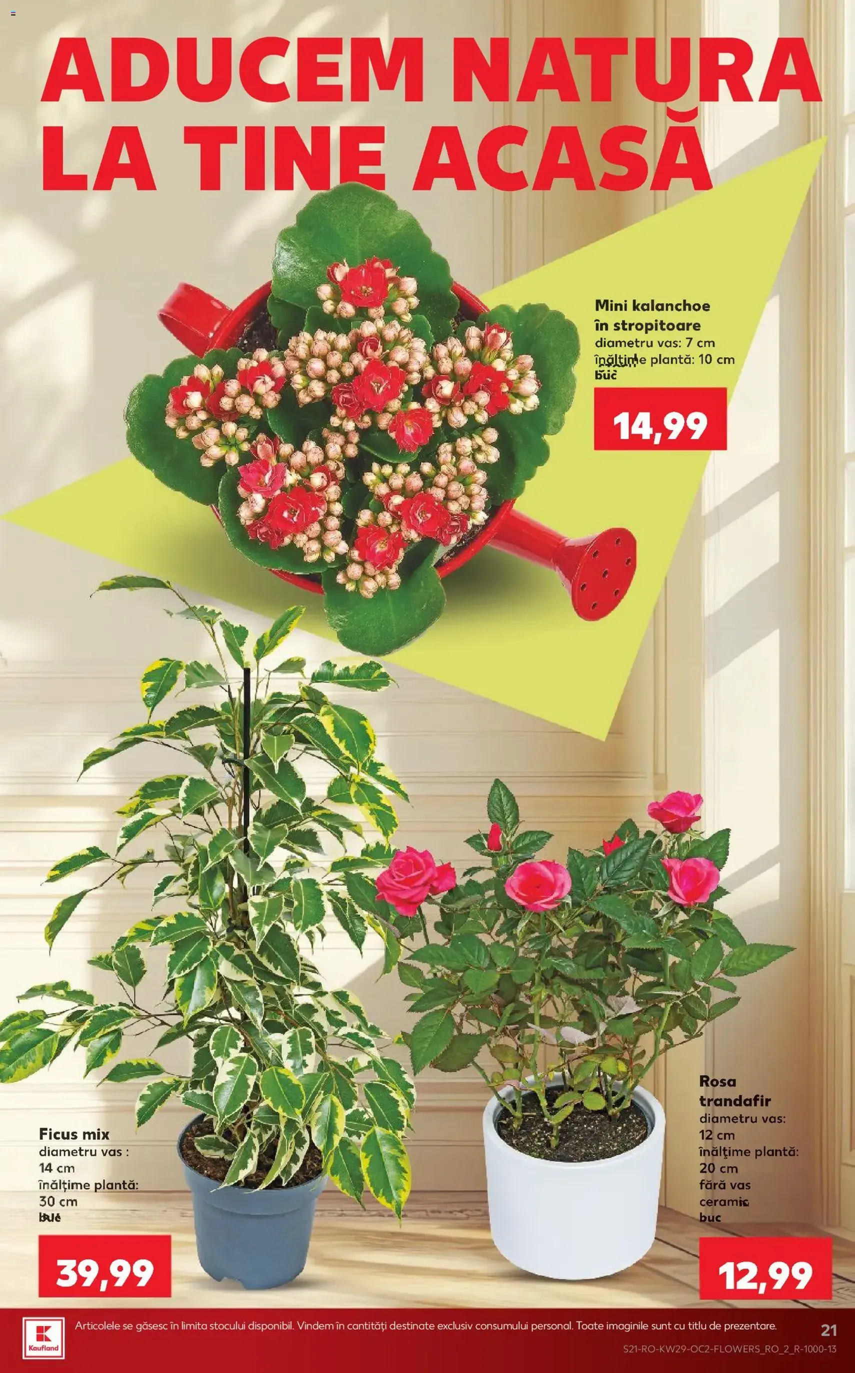 Kaufland Catalog - cataloage valabile începând cu 15.07.2026 pagina 21 din 70