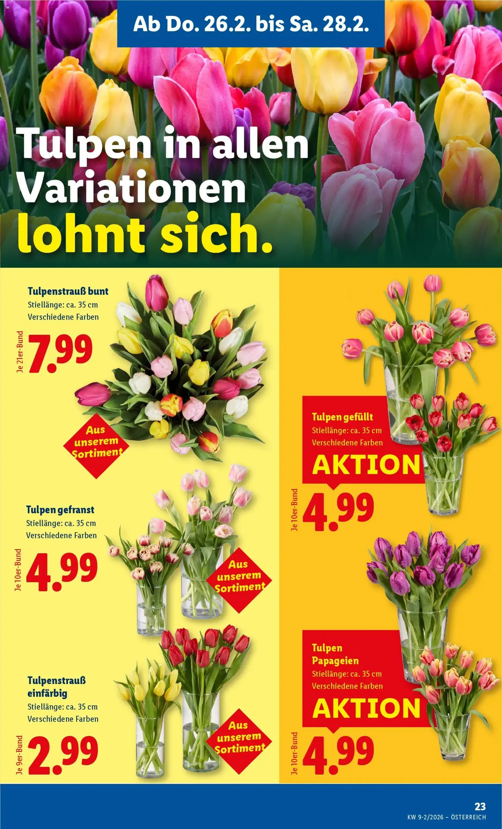 Lidl Flugblatt - Gültiger Prospekt ab 26.02.2026, Seite 25 von insgesamt 49