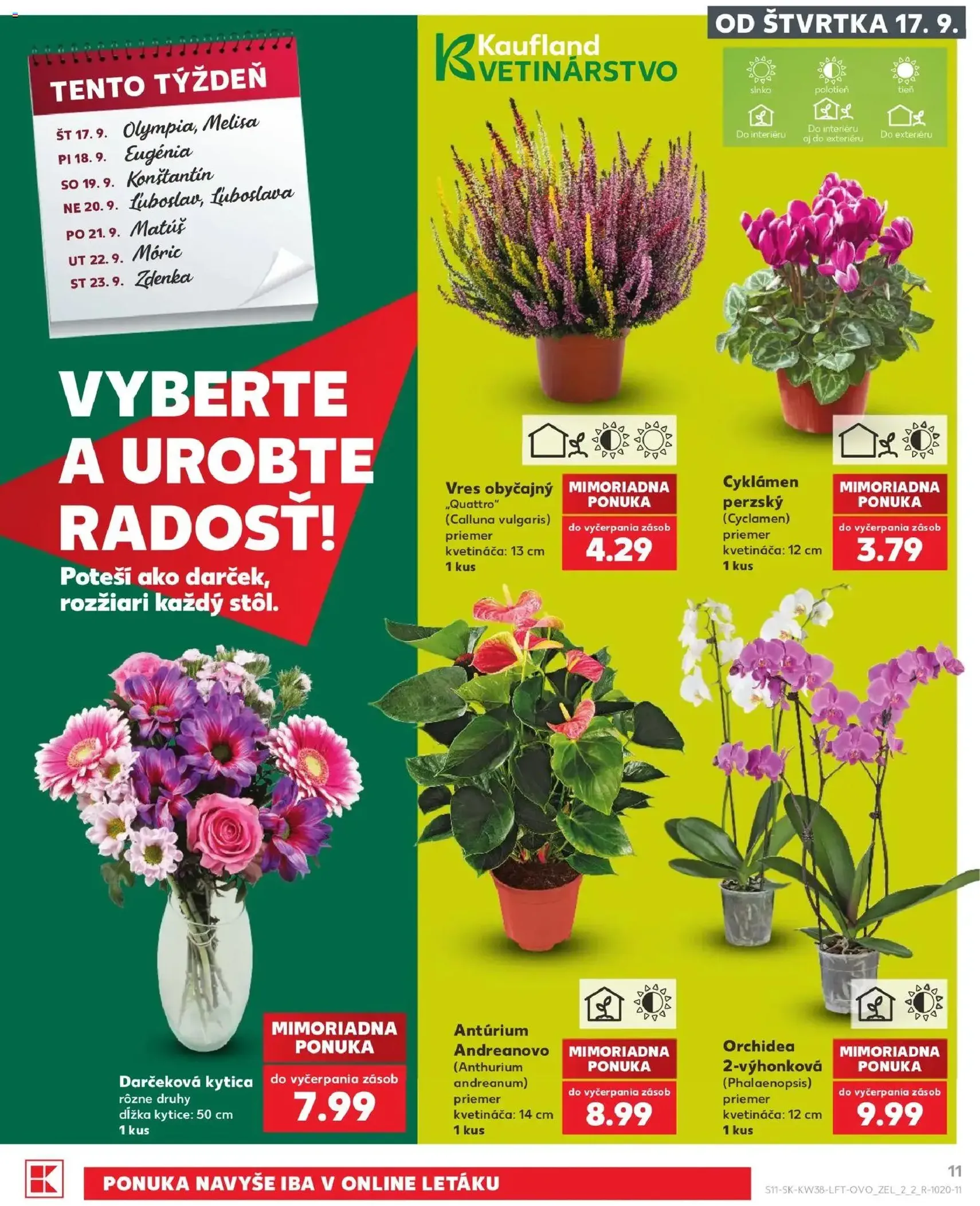 Kaufland leták - platný leták od 17.09.2026 strana 11 z 84