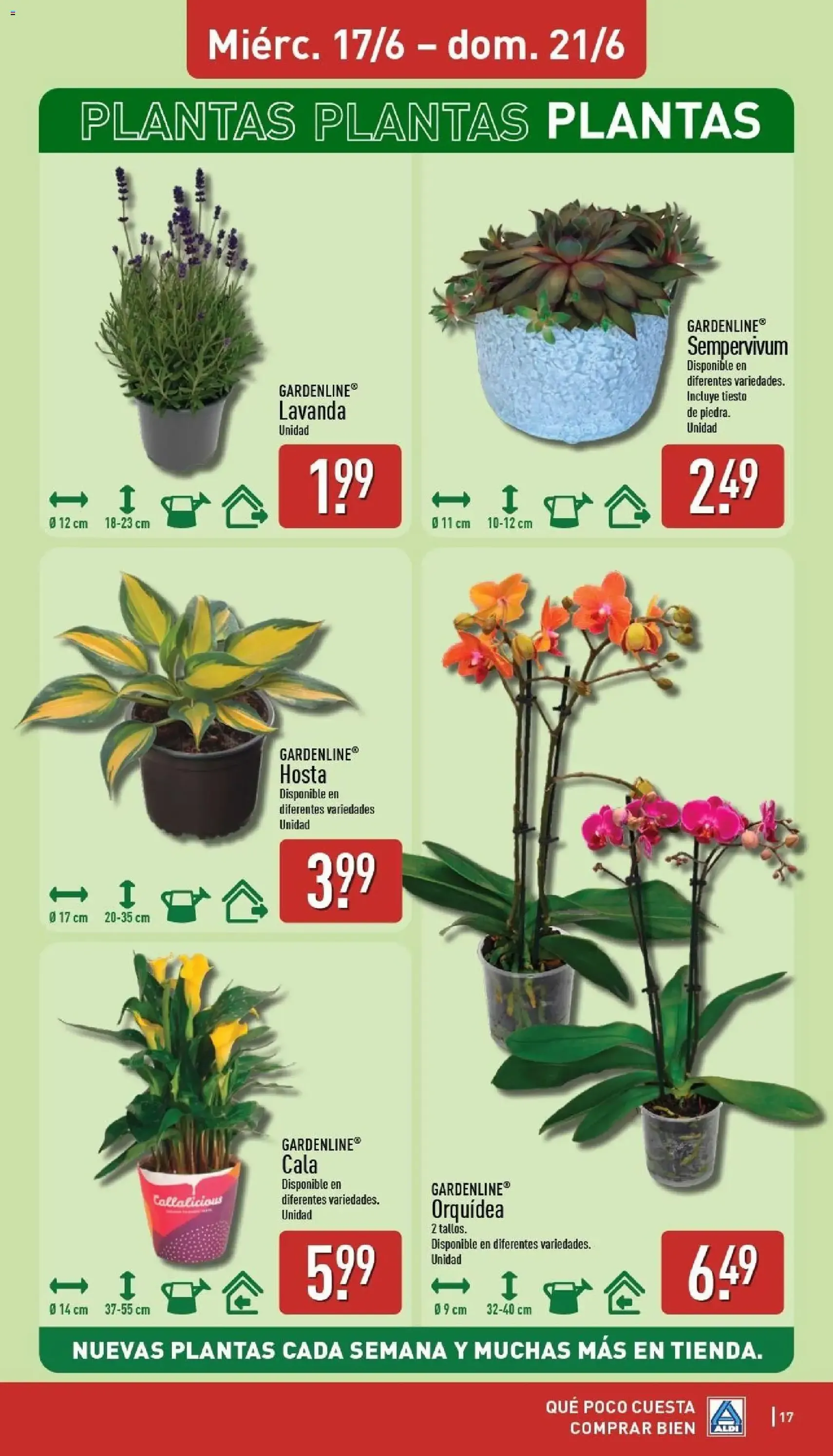 Aldi folleto Península - folleto válido desde 15/06/2026 página 17 de 30