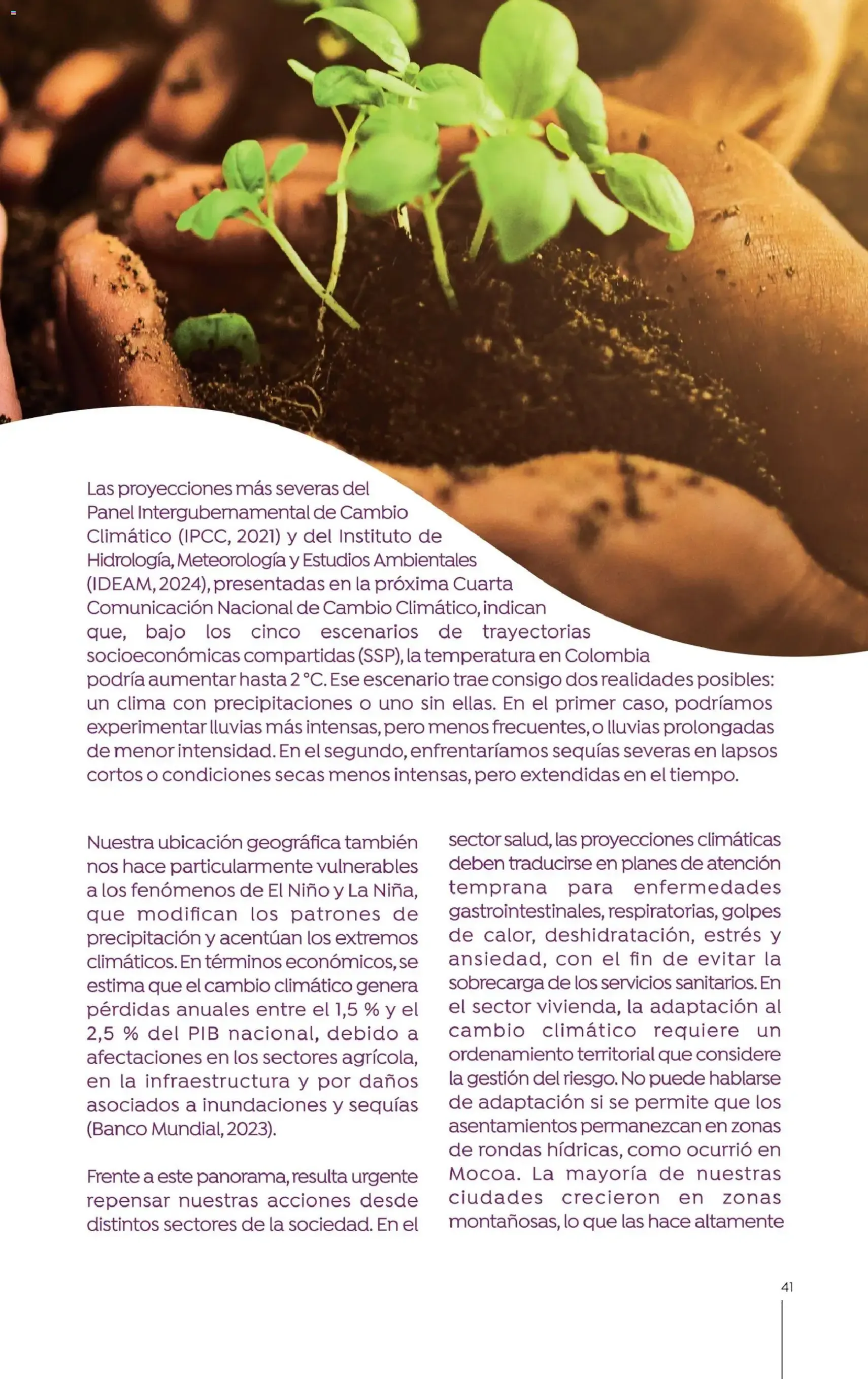 Colsubsidio - Catálogo - folleto válido desde 01/10/2025 página 41 de 48