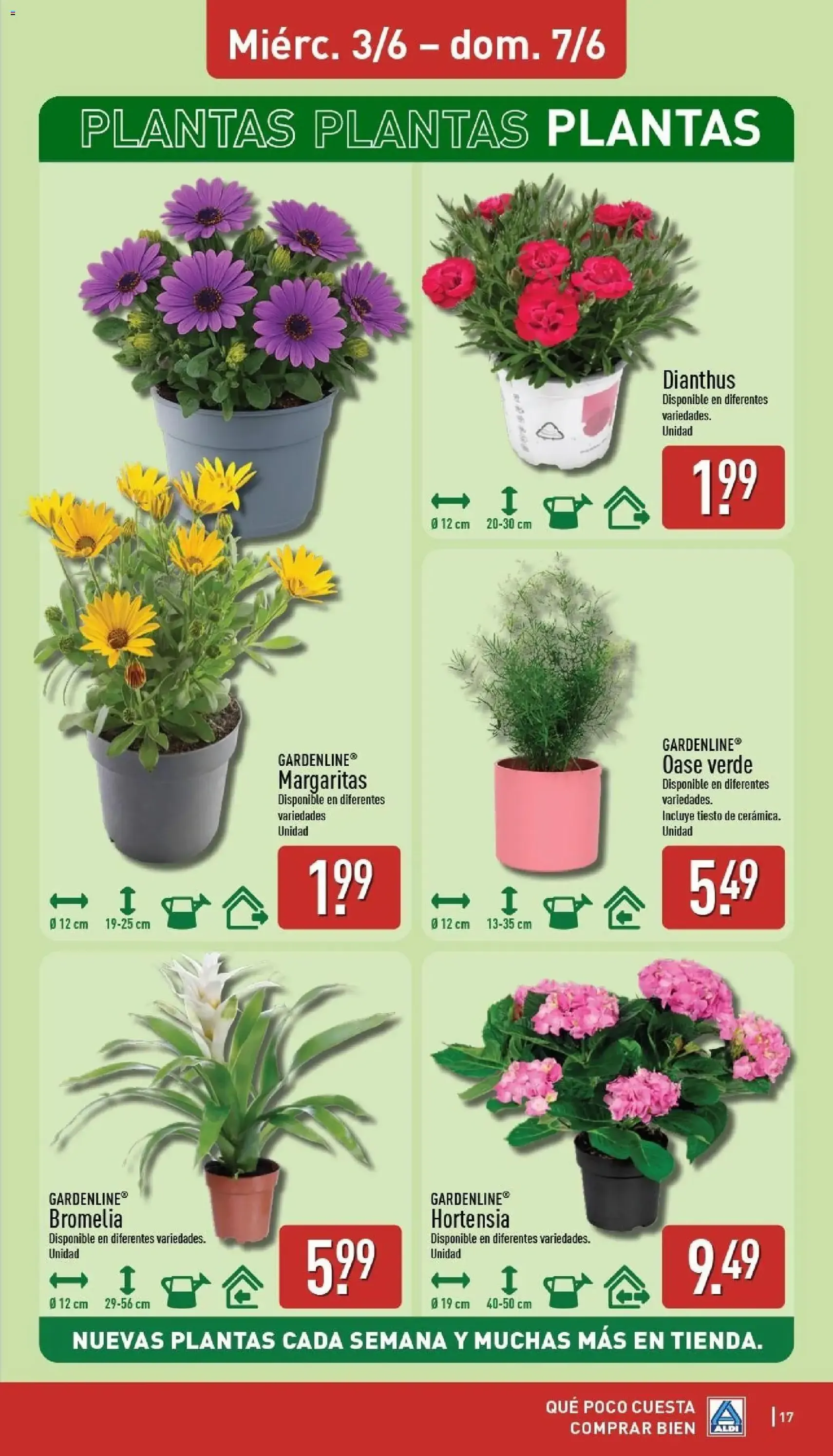 Aldi folleto Península - folleto válido desde 01/06/2026 página 17 de 36