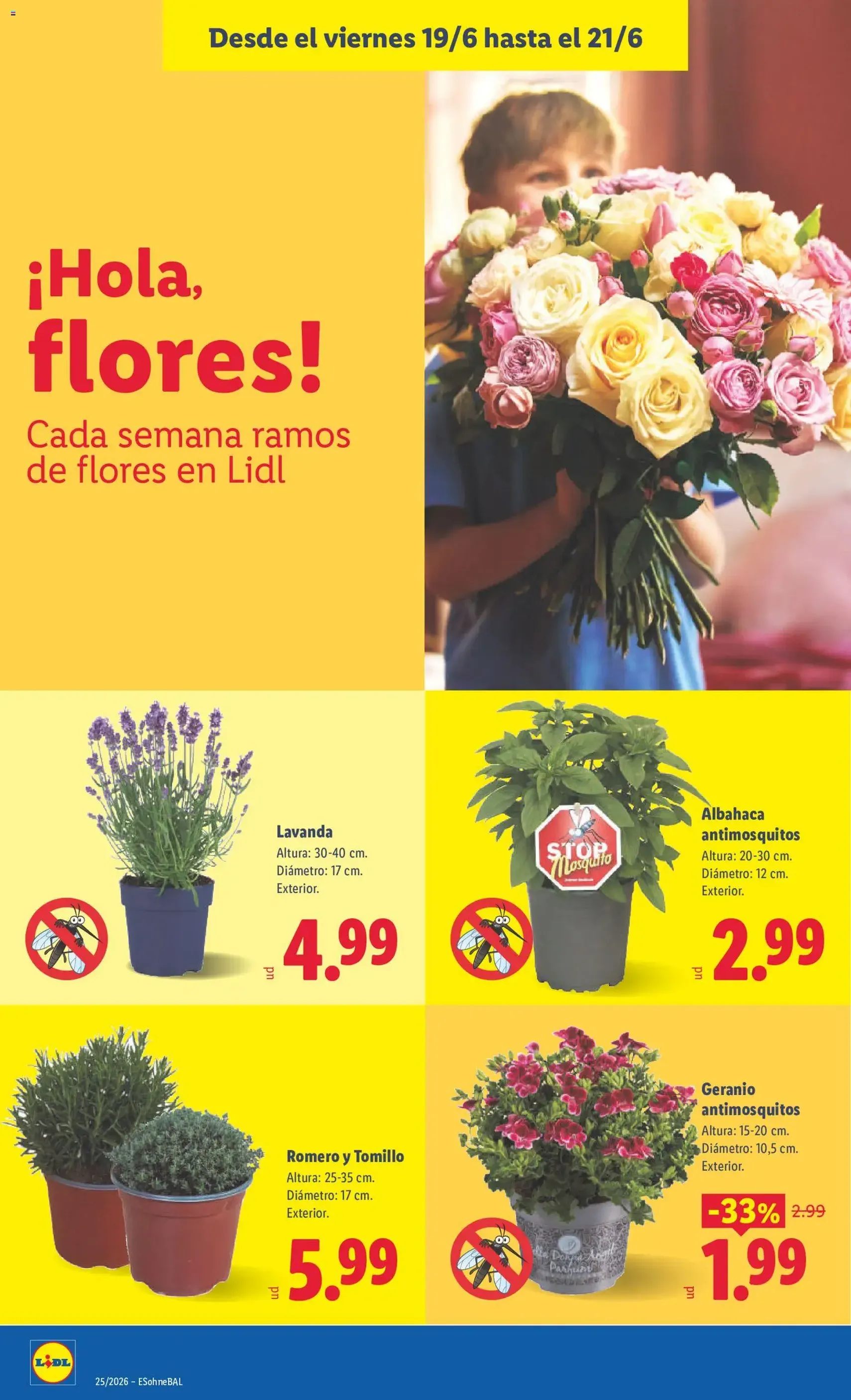 Lidl folleto - folleto válido desde 15/06/2026 página 64 de 65