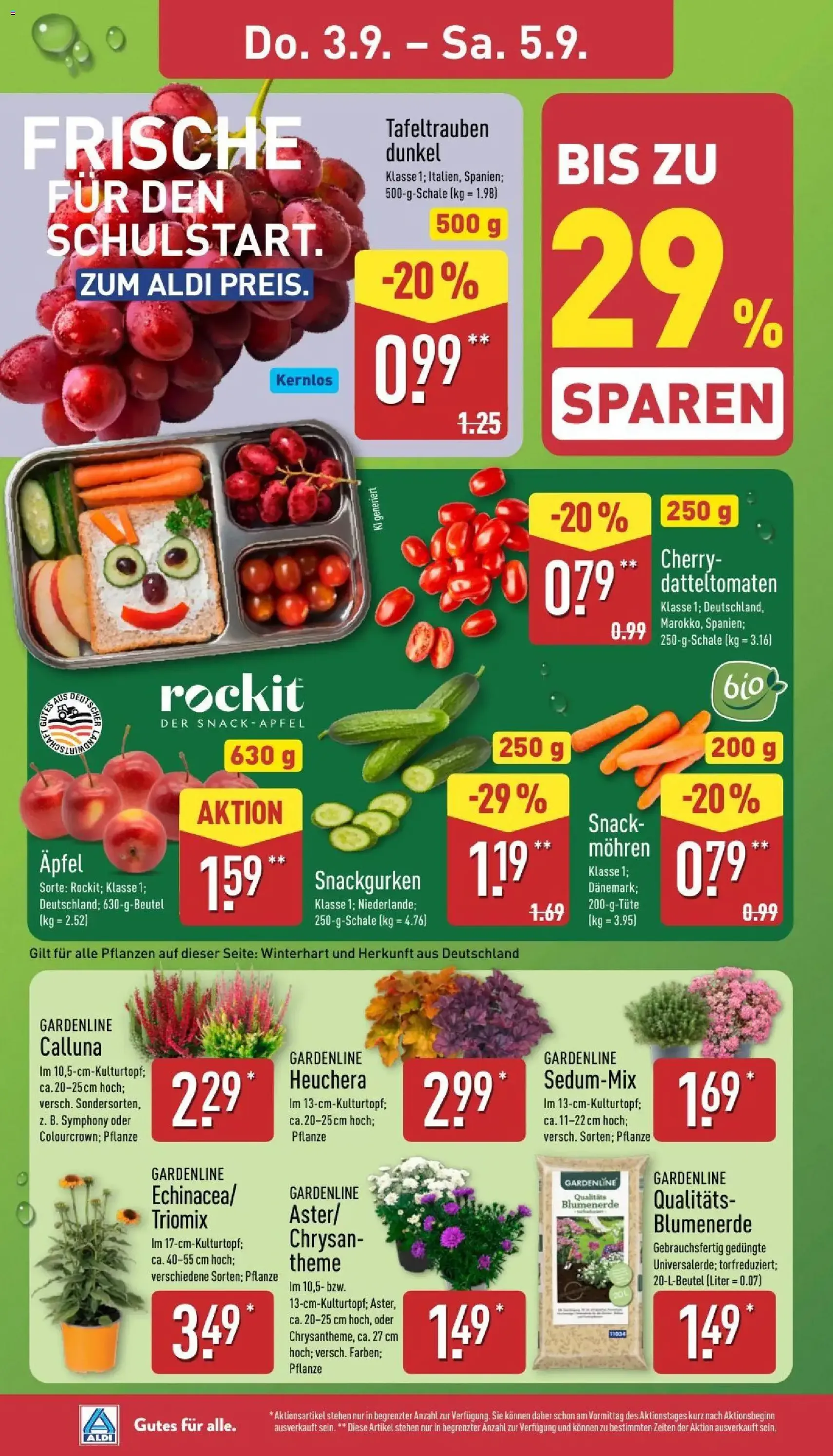 Aldi Prospekt - Gültiger Prospekt ab 31.08.2026, Seite 28 von insgesamt 41