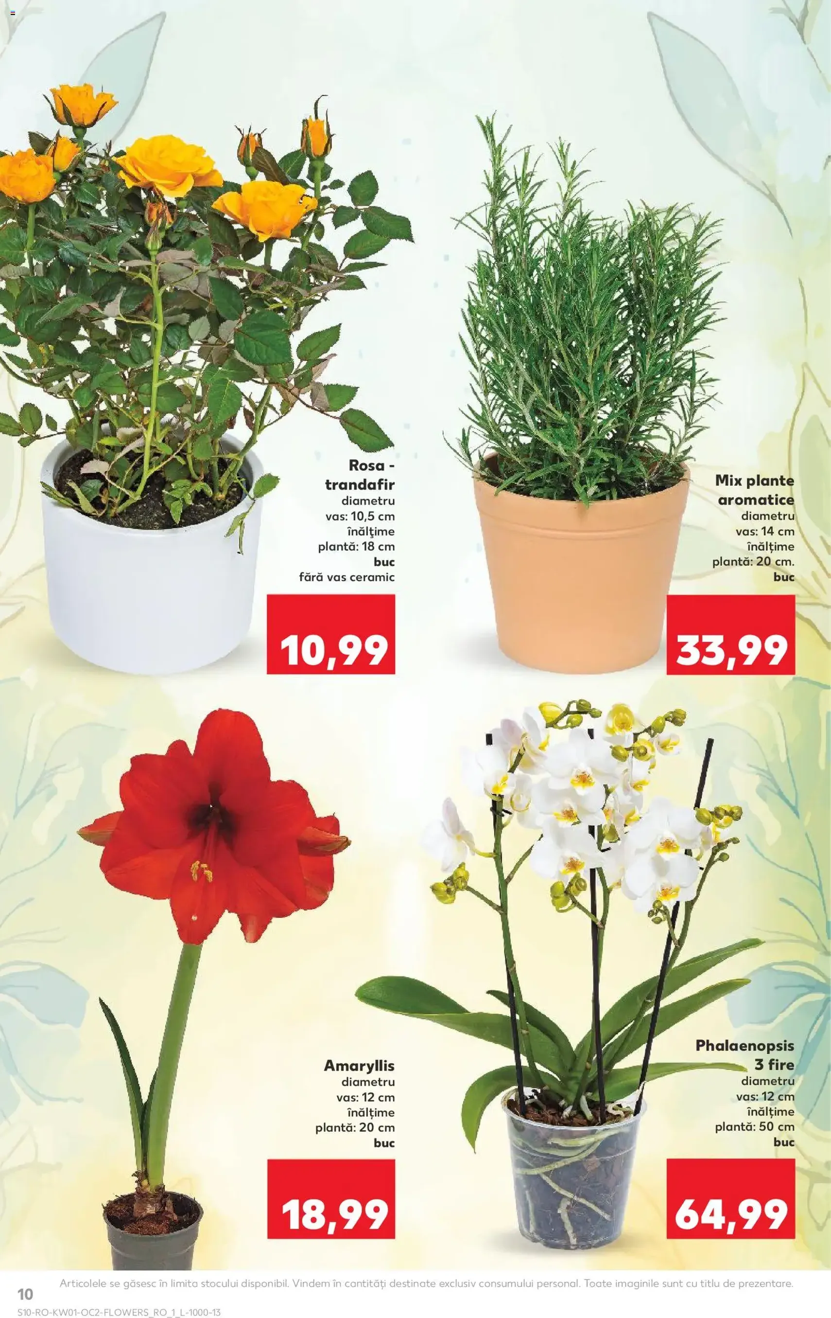 Catalog Kaufland - cataloage valabile începând cu 31.12.2025 pagina 10 din 54