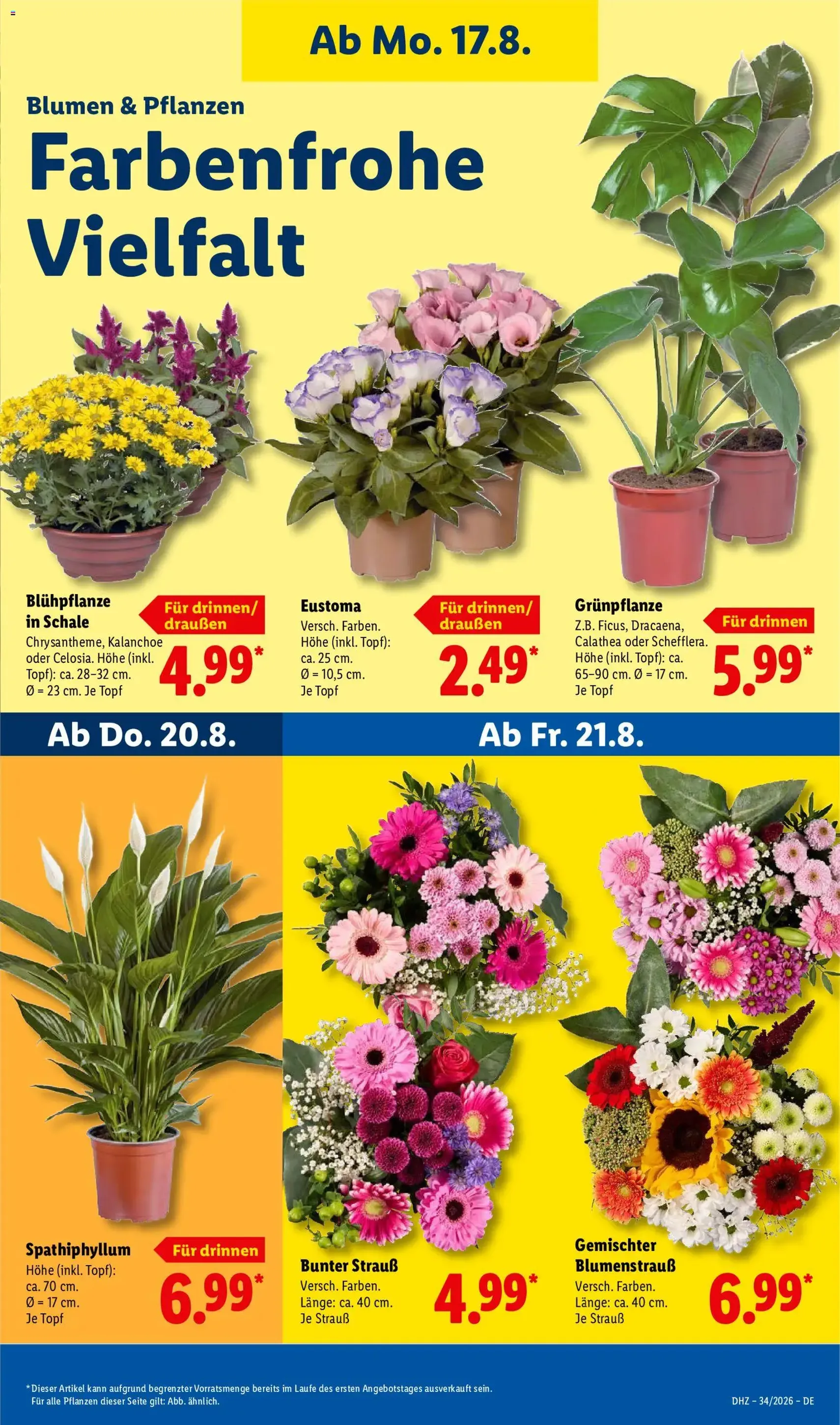 Lidl Prospekt - Gültiger Prospekt ab 17.08.2026, Seite 25 von insgesamt 72