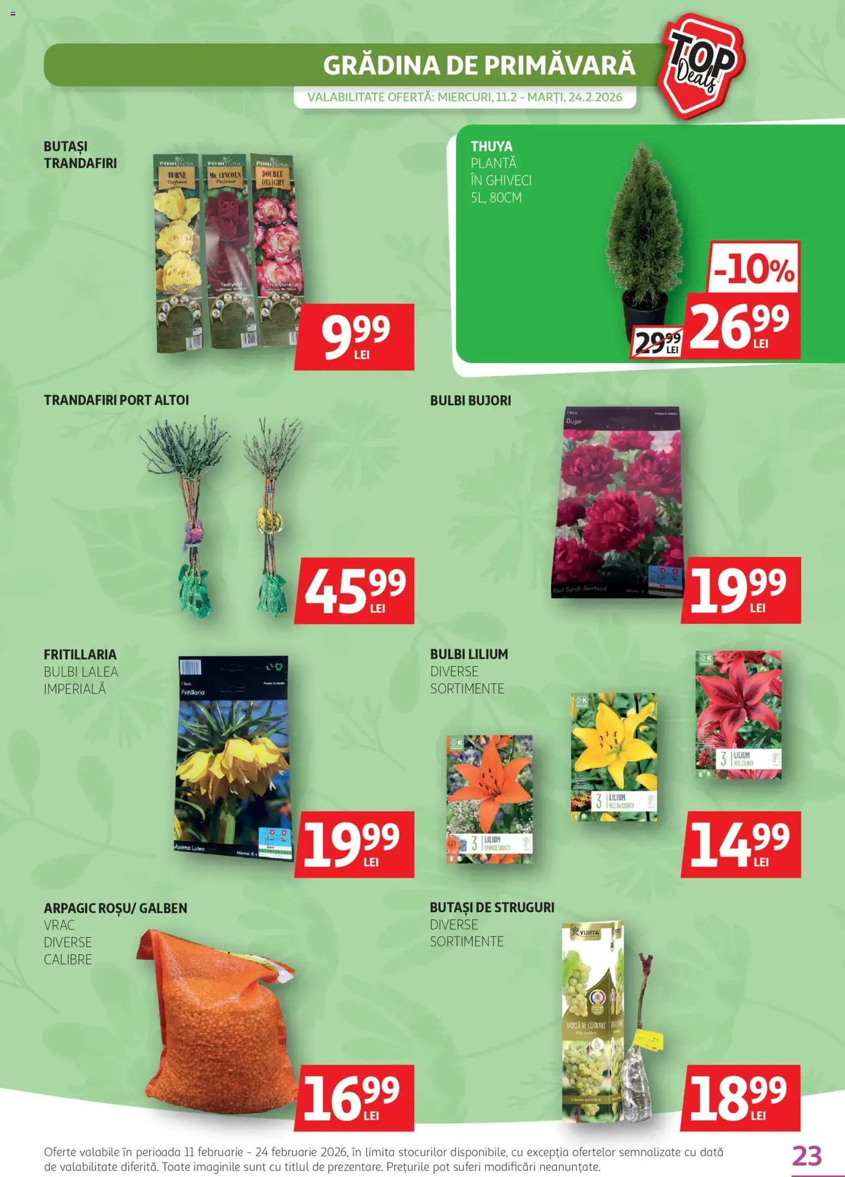 Catalog Auchan - cataloage valabile începând cu 11.02.2026 pagina 23 din 27