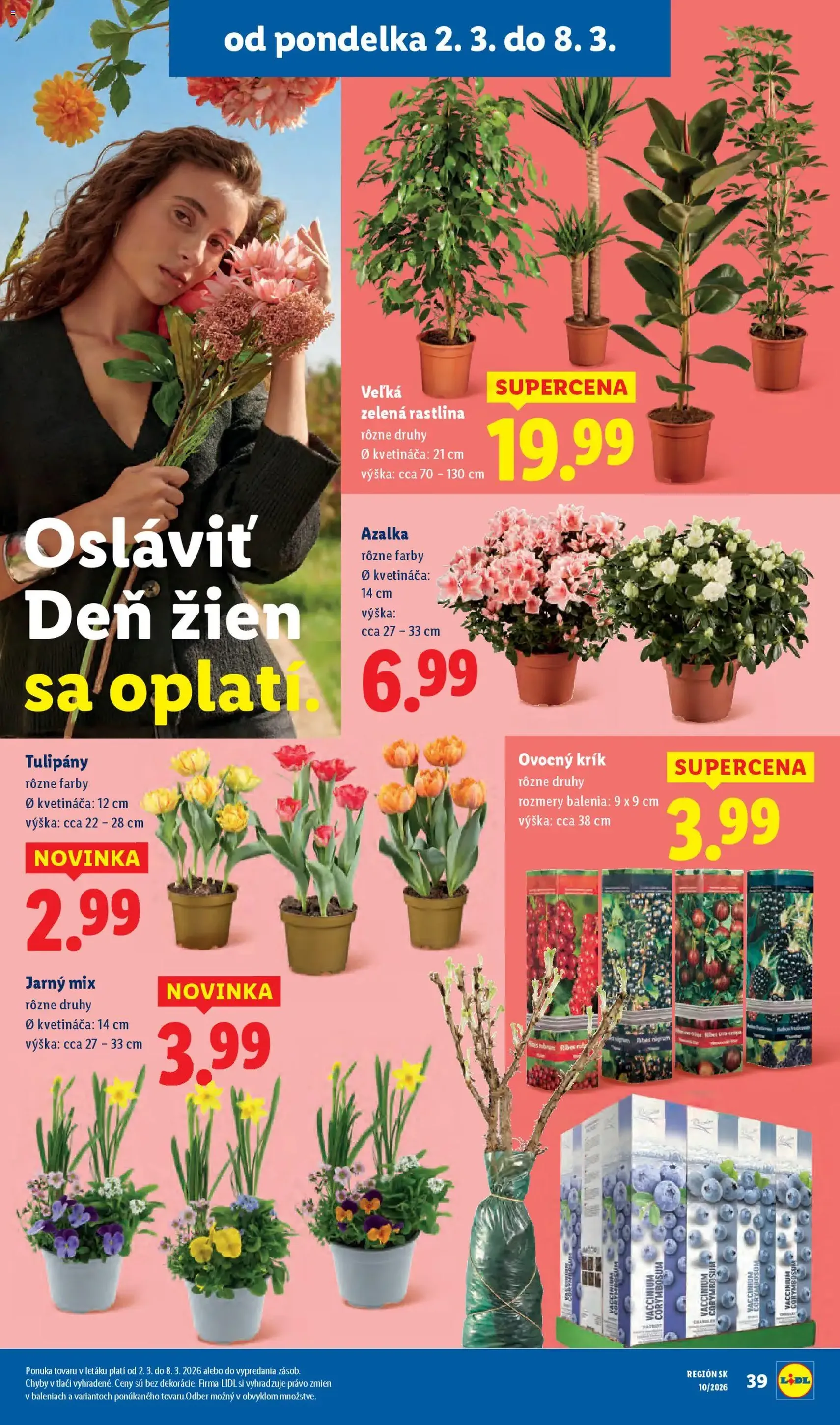 Lidl leták - platný leták od 05.03.2026 strana 75 z 105