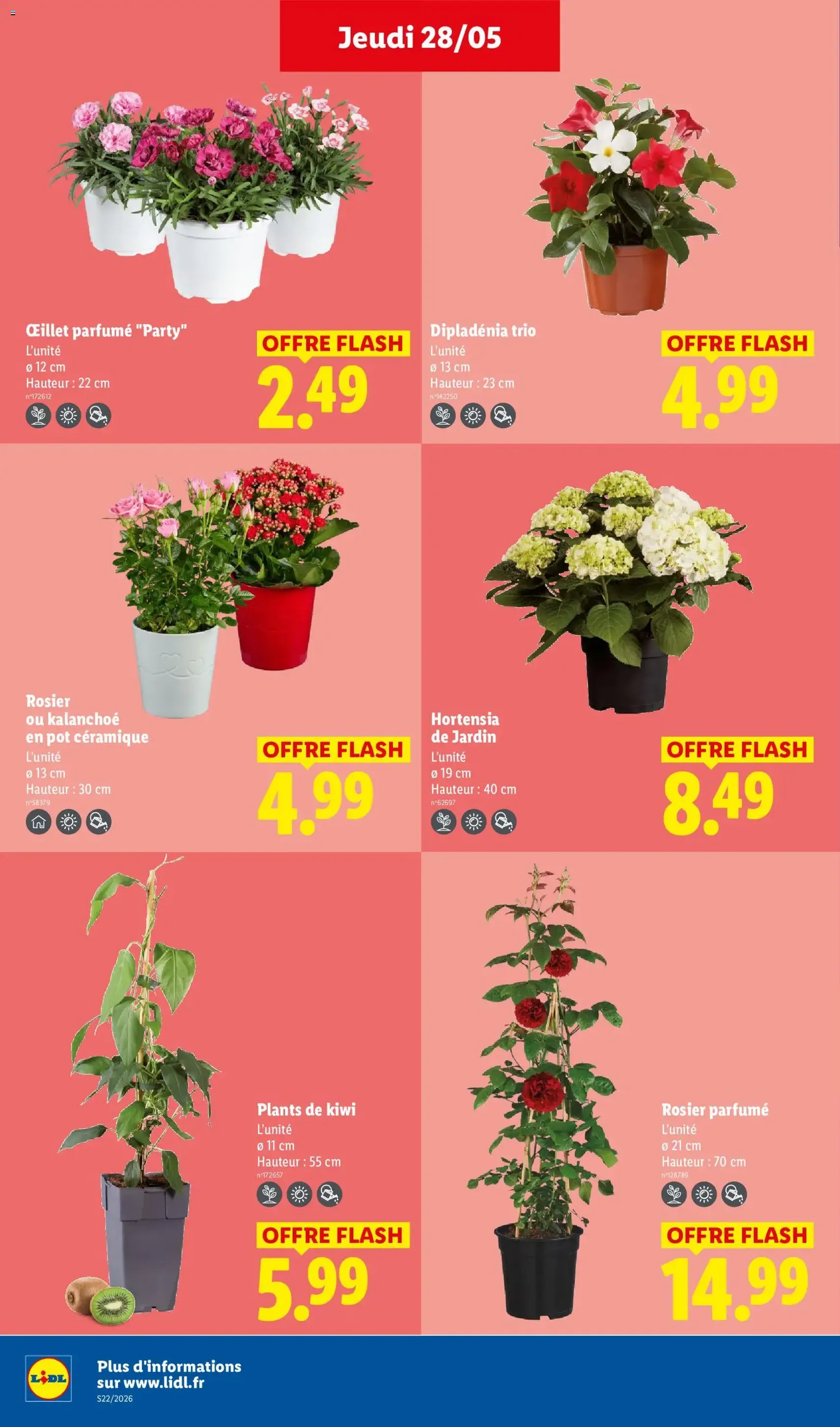 LIDL catalogue - brochure valable à partir du 28/05/2026, page 28 sur 69