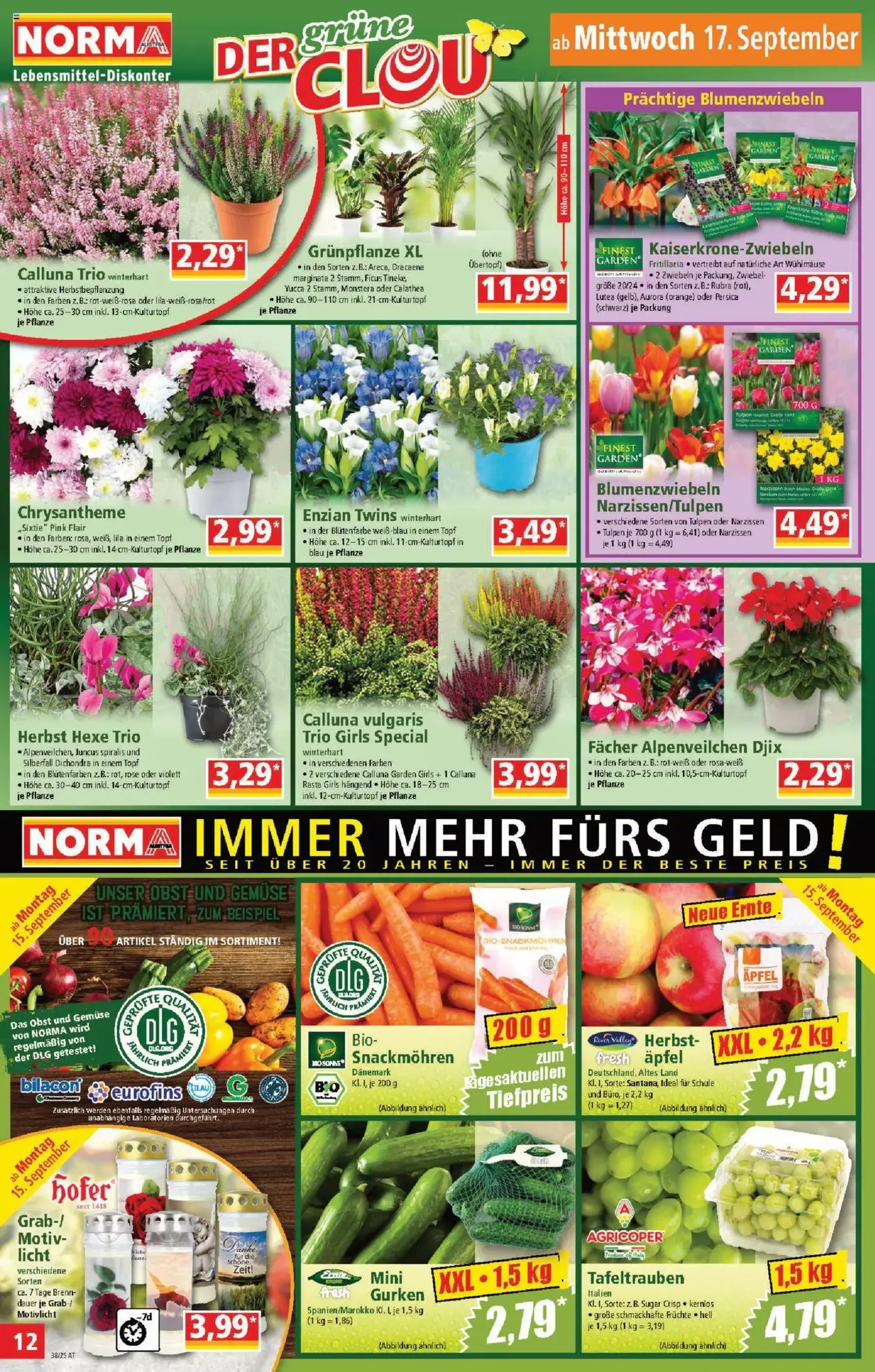 Norma Flugblatt - Gültiger Prospekt ab 08.09.2025, Seite 12 von insgesamt 18