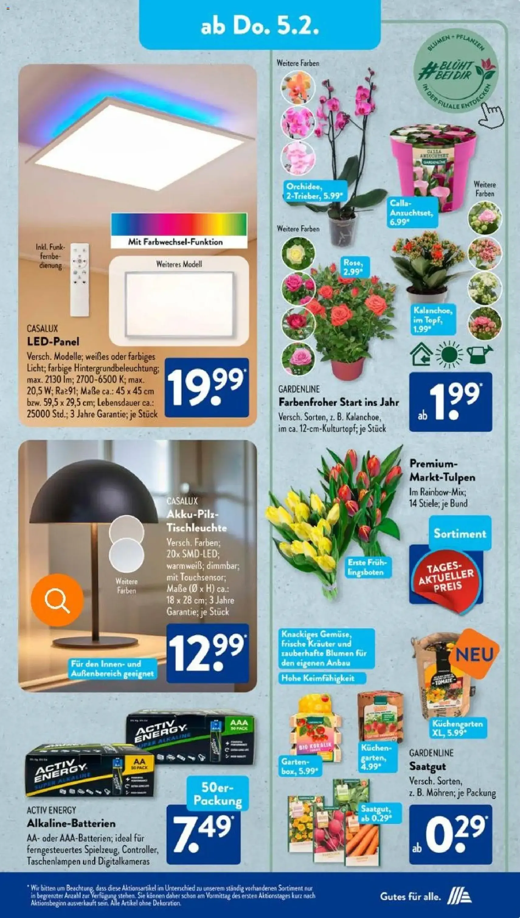 Aldi Süd Prospekt - Gültiger Prospekt ab 02.02.2026, Seite 19 von insgesamt 37