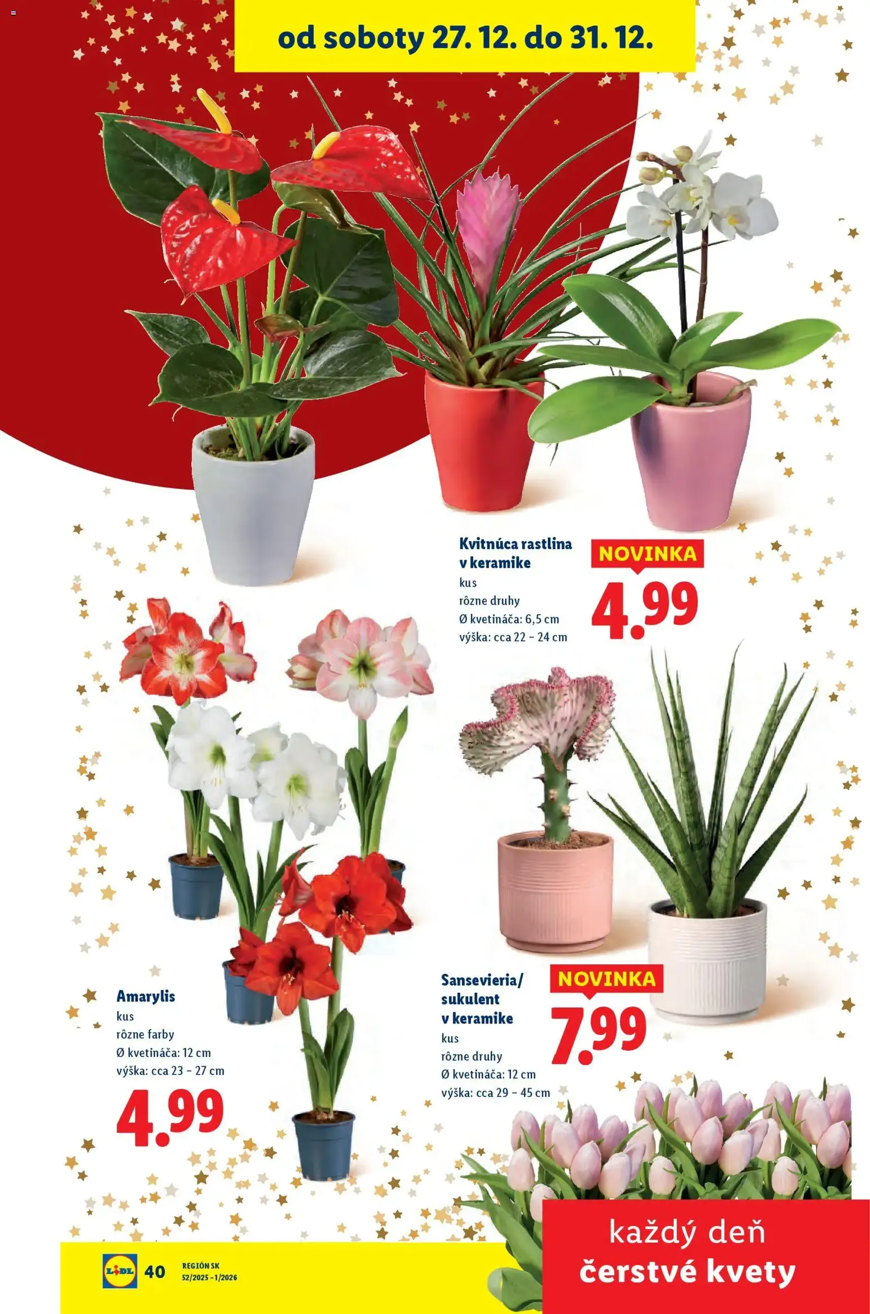 Lidl leták - platný leták od 27.12.2025 strana 50 z 103