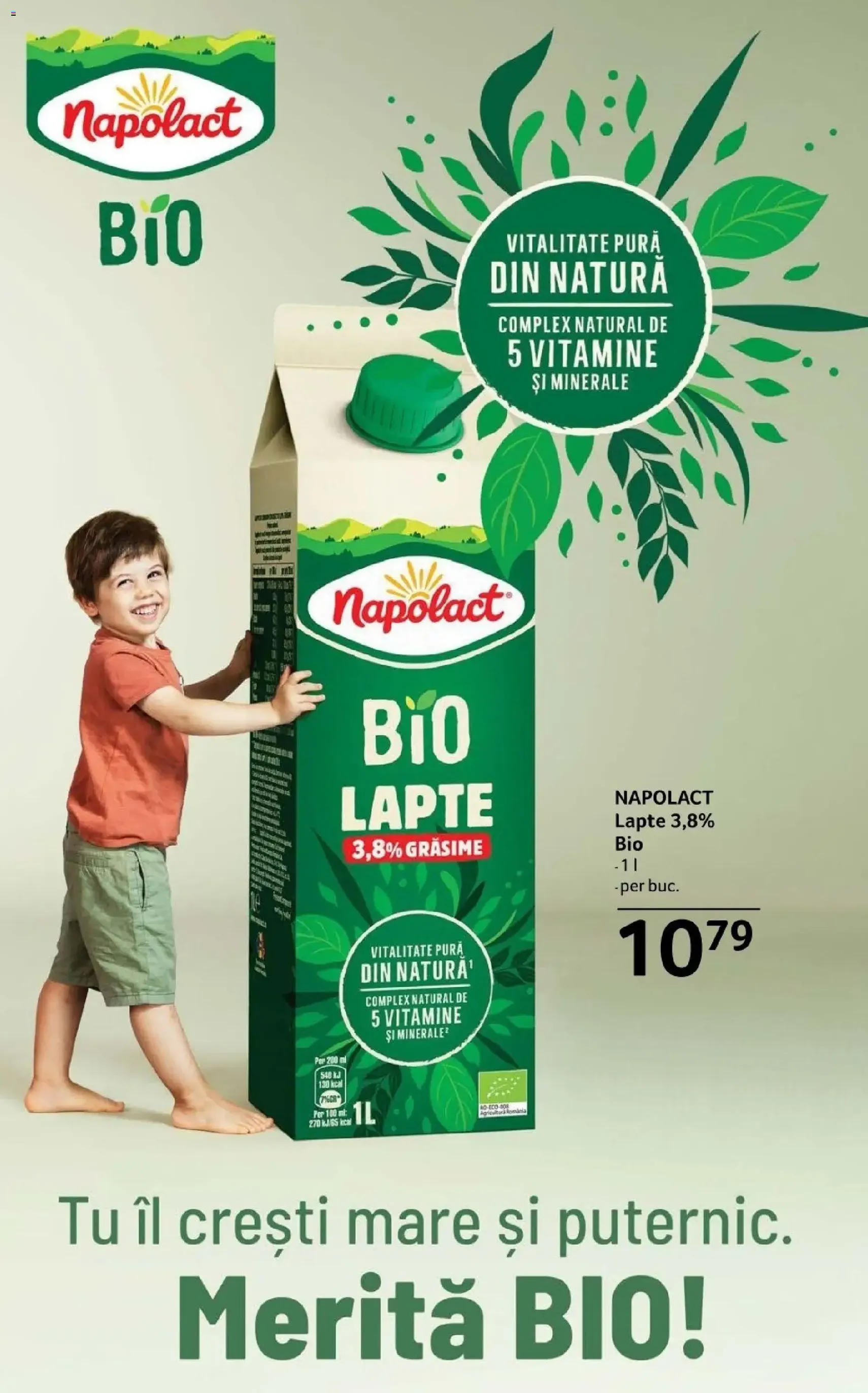 Catalog Selgros - cataloage valabile începând cu 28.11.2025 pagina 16 din 43