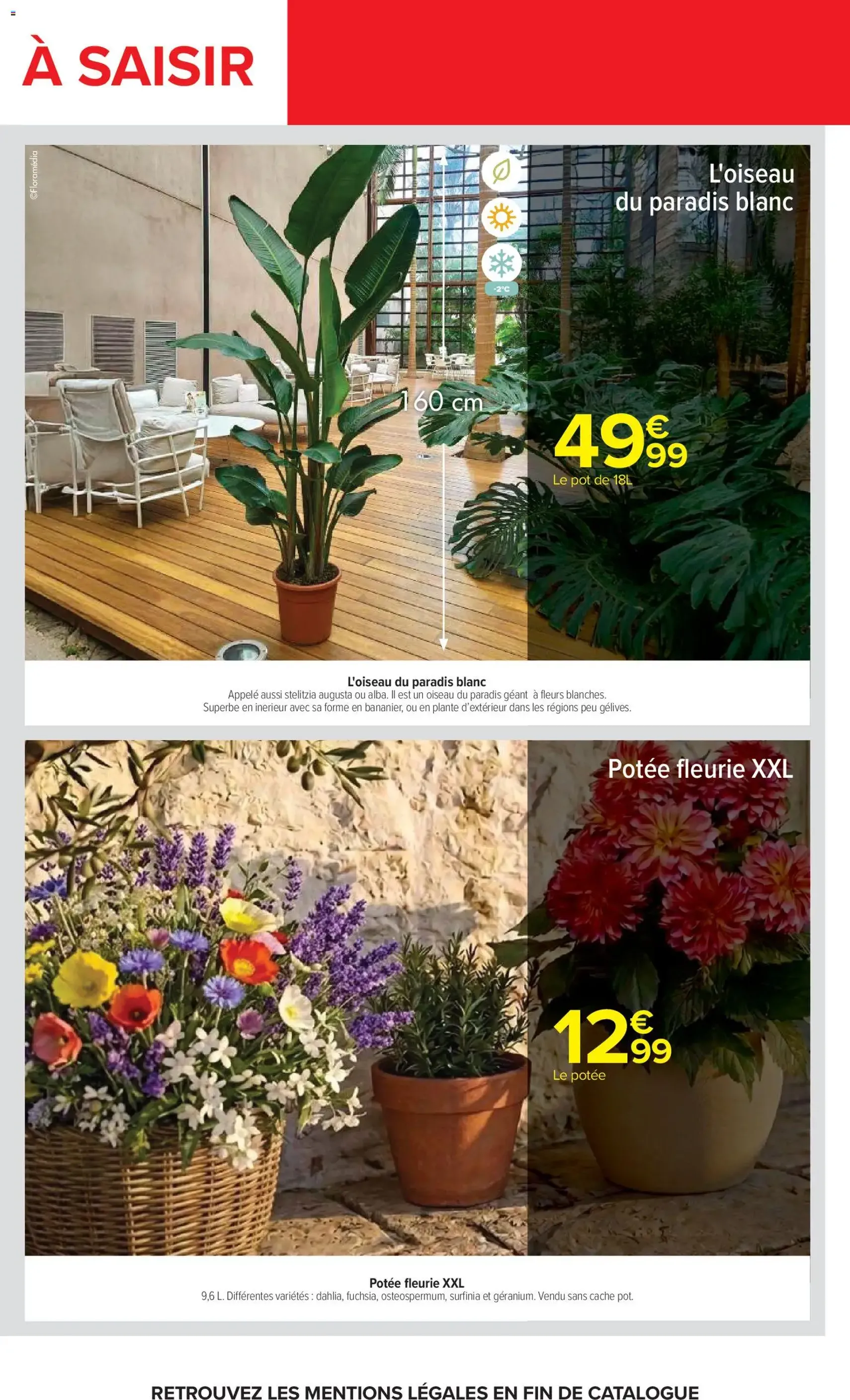 Carrefour catalogue - brochure valable à partir du 05/05/2026, page 71 sur 85