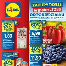 Lidl Gazetka - podgląd gazetki ważnej od 28.07.2025