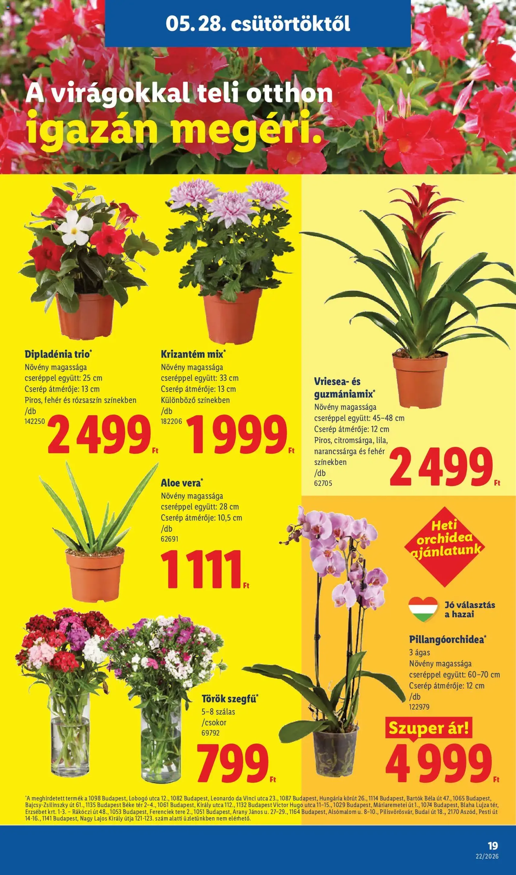 Lidl akciós újság - 2026.05.28. érvényes szórólap 19 oldal 74 oldalból