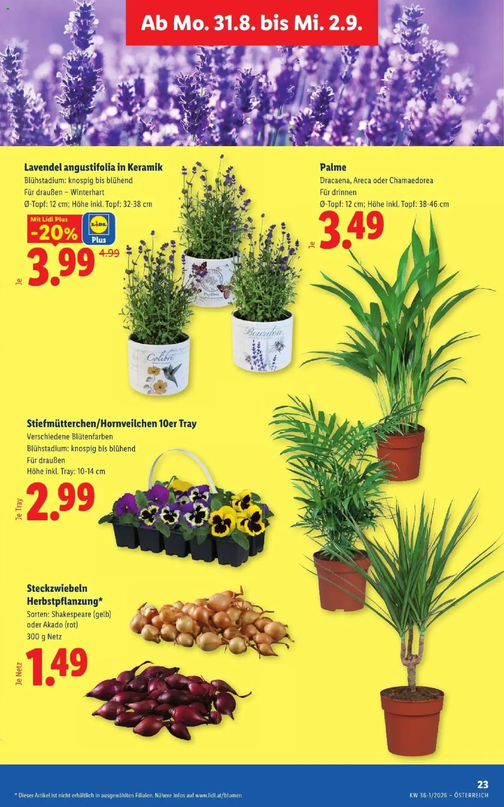 Lidl - Flugblatt - Gültiger Prospekt ab 27.08.2026, Seite 30 von insgesamt 55