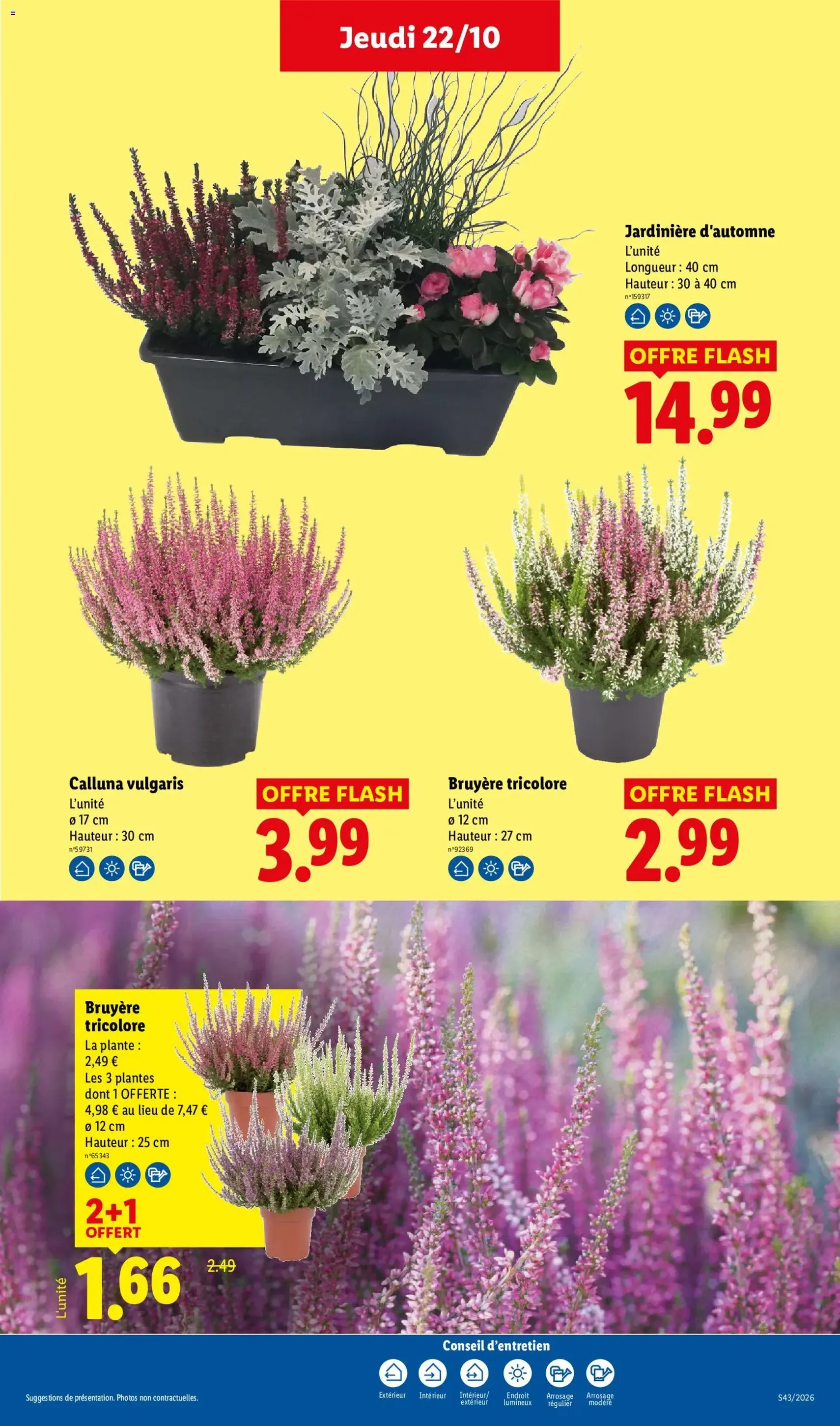 LIDL catalogue - brochure valable à partir du 22/10/2026, page 34 sur 66