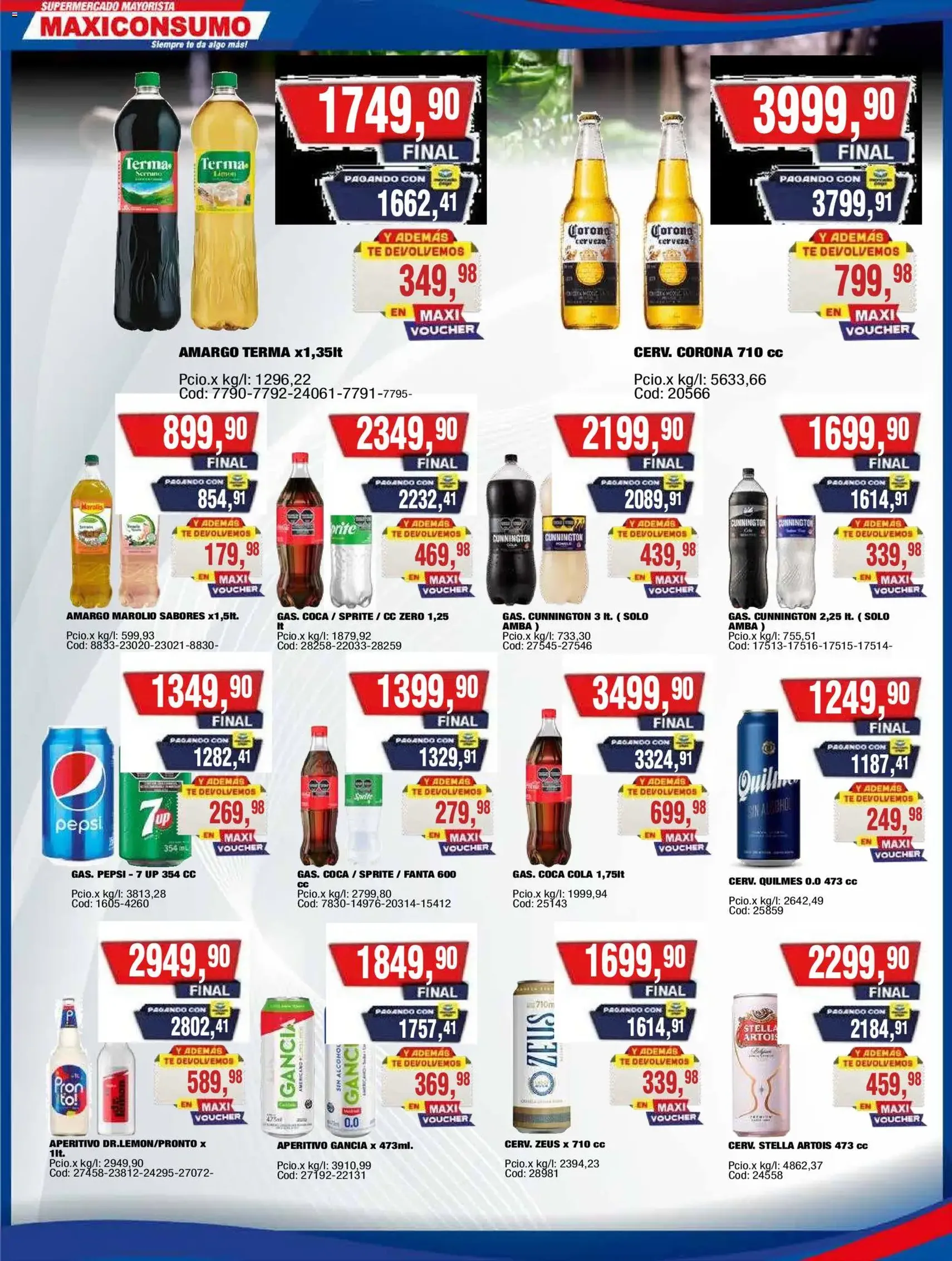 Maxiconsumo ofertas - folleto válido desde 01/06/2026 página 17 de 33