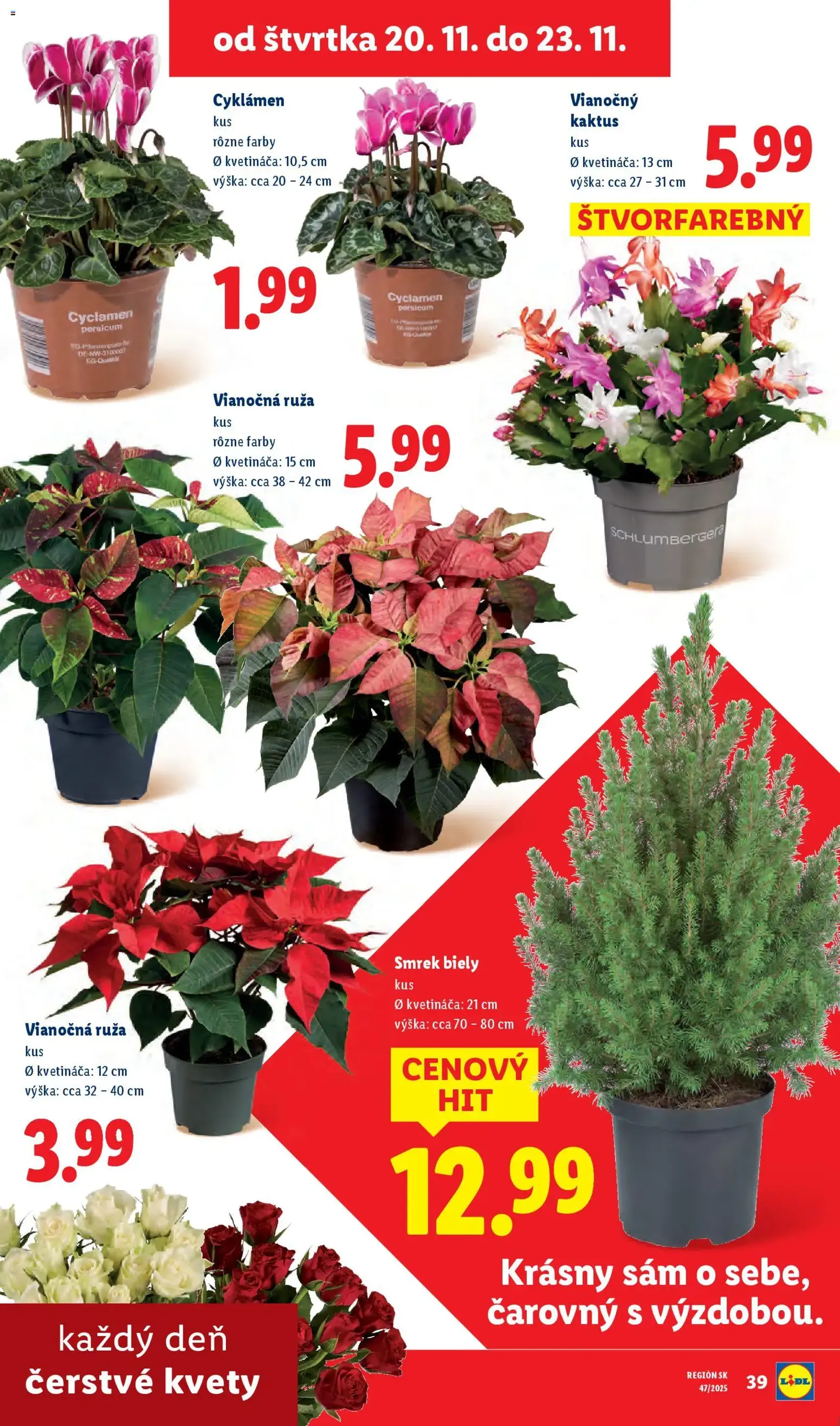 Lidl - Black Friday - platný leták od 17.11.2025 strana 81 z 99