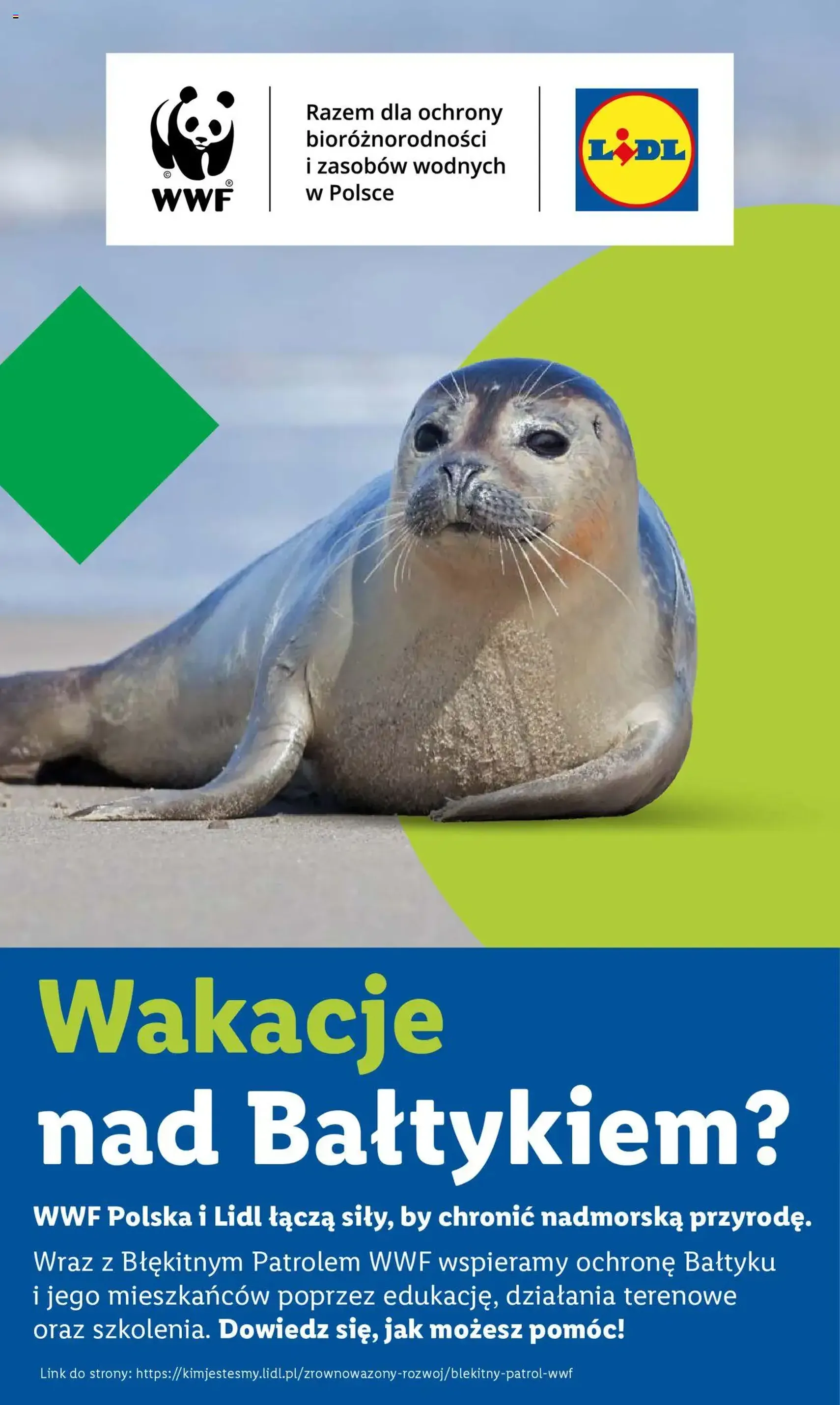 Lidl Gazetka - ważny gazetka od 17.07.2025 strona 60 z 62 Lidl Gazetka - ważny gazetka od 17.07.2025 strona 60 z 62