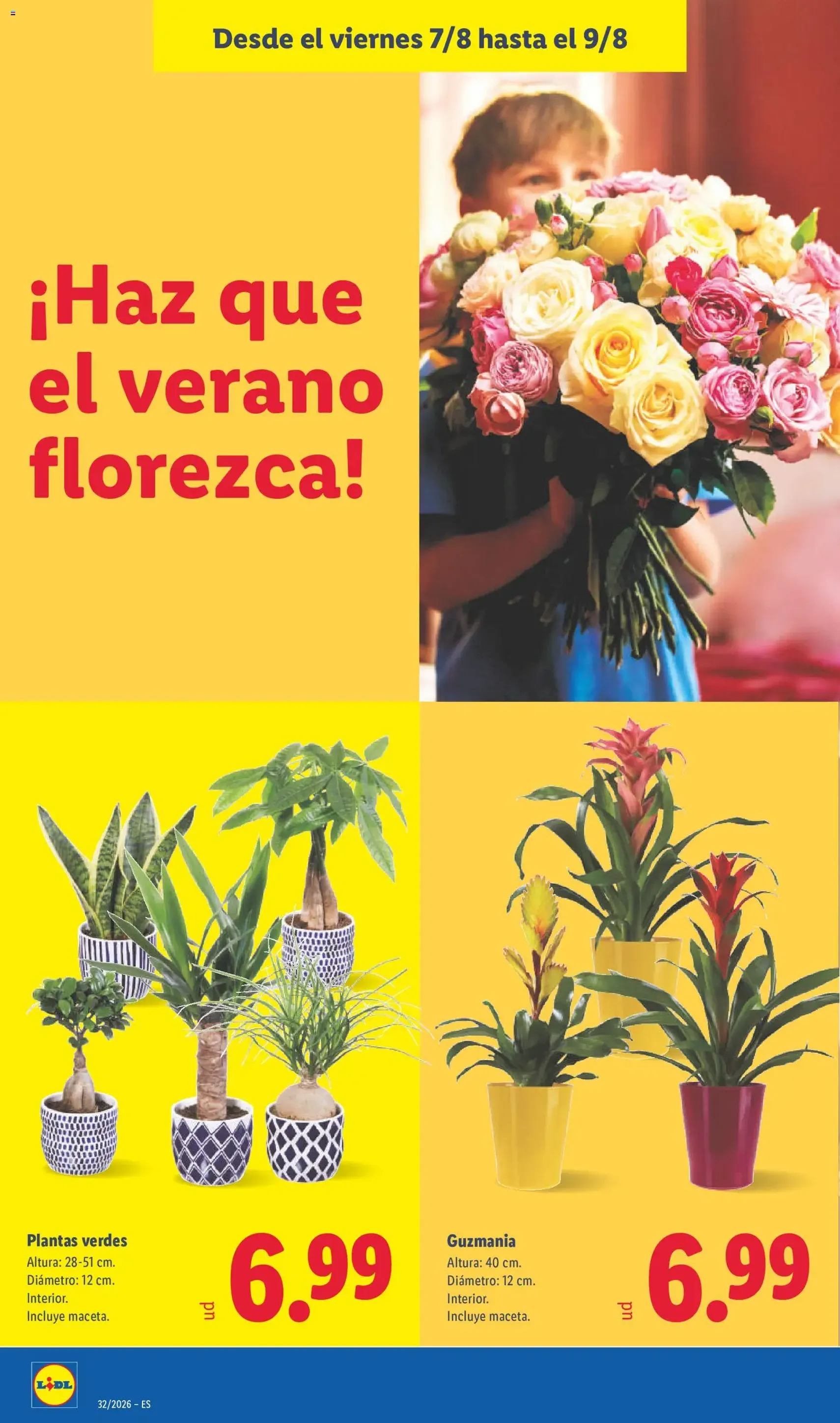 Lidl folleto - folleto válido desde 03/08/2026 página 58 de 61