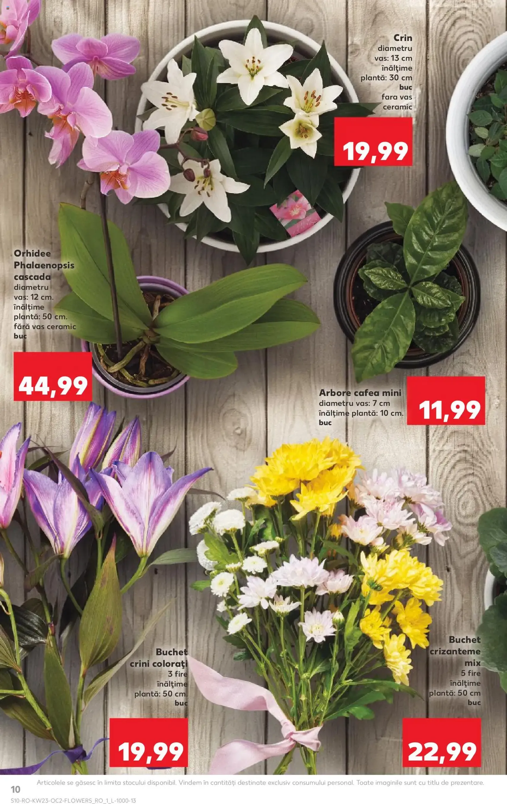 Kaufland Catalog - cataloage valabile începând cu 03.06.2026 pagina 10 din 64