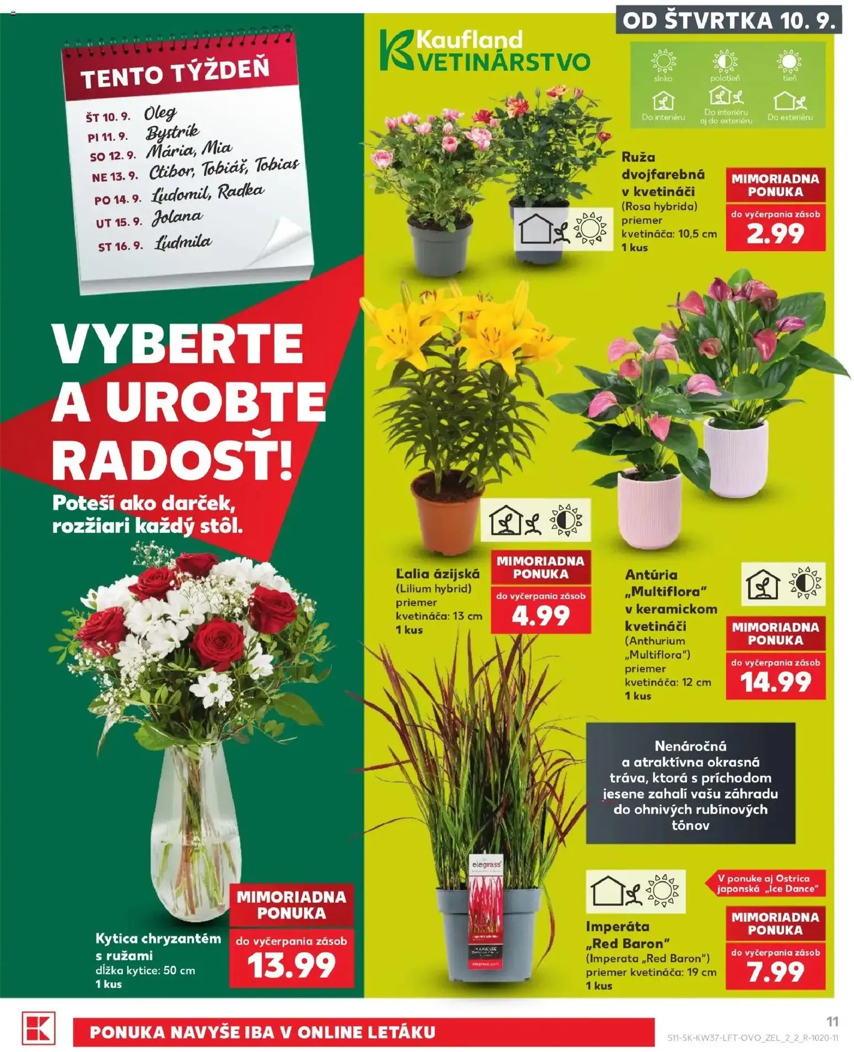 Kaufland leták - platný leták od 10.09.2026 strana 11 z 84