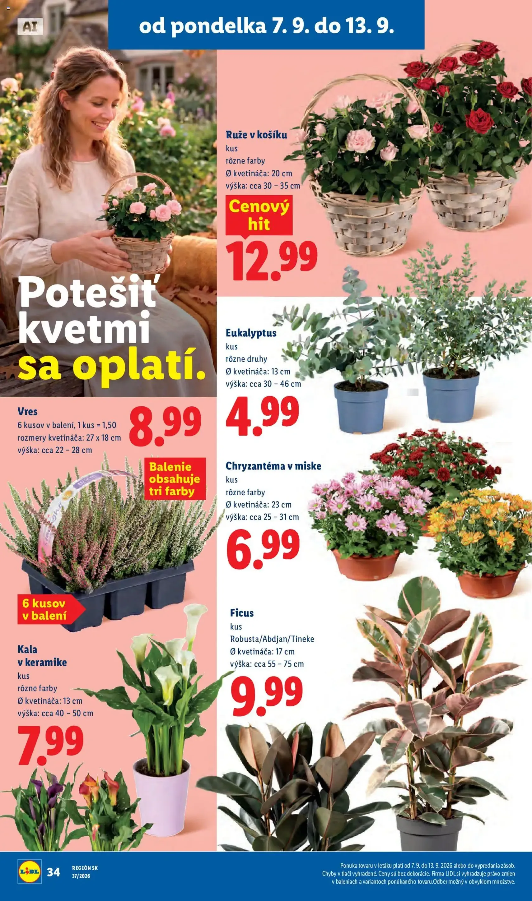 Lidl leták - platný leták od 07.09.2026 strana 45 z 100