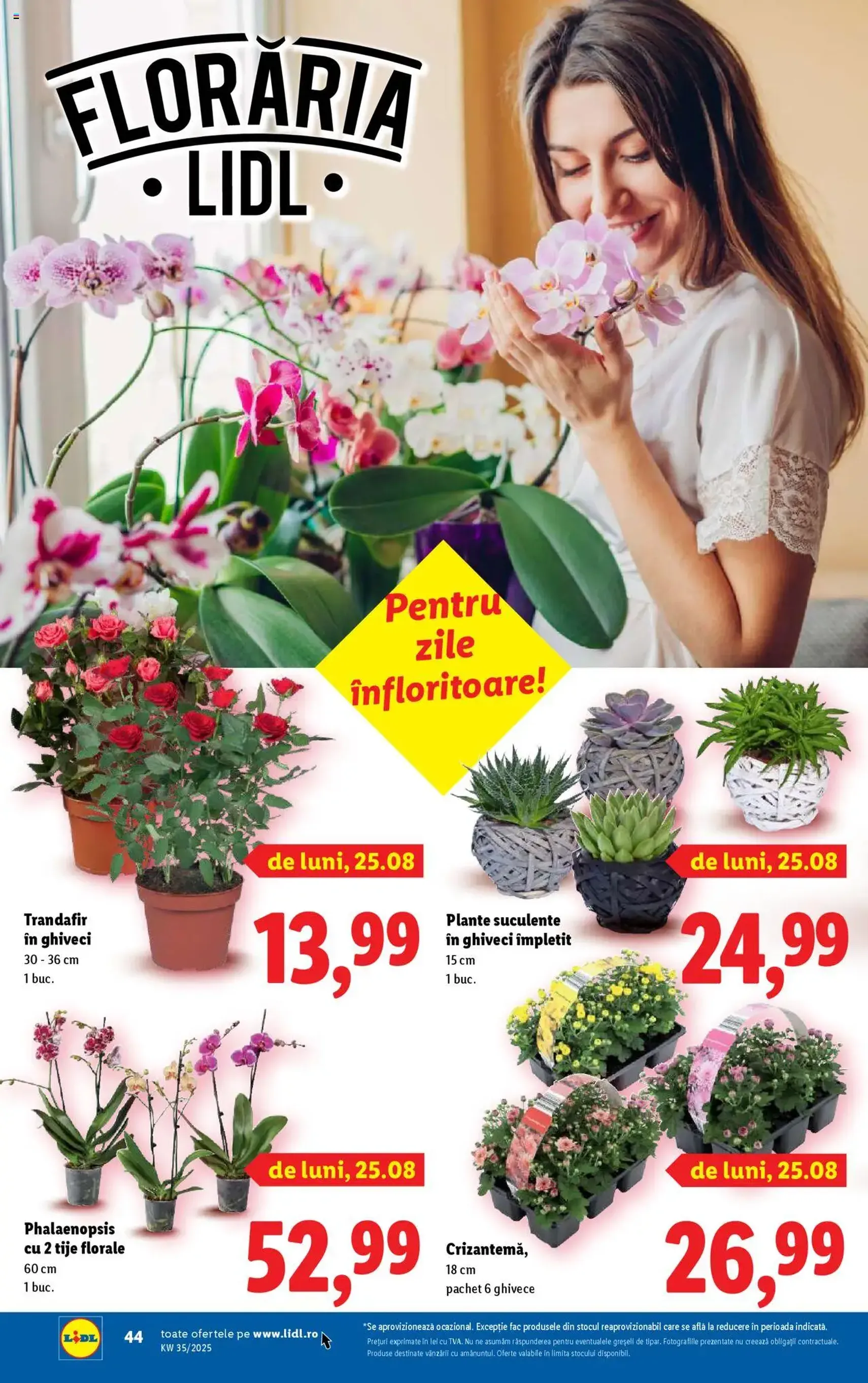 Catalog Lidl - cataloage valabile începând cu 25.08.2025 pagina 44 din 74 Catalog Lidl - cataloage valabile începând cu 25.08.2025 pagina 44 din 74