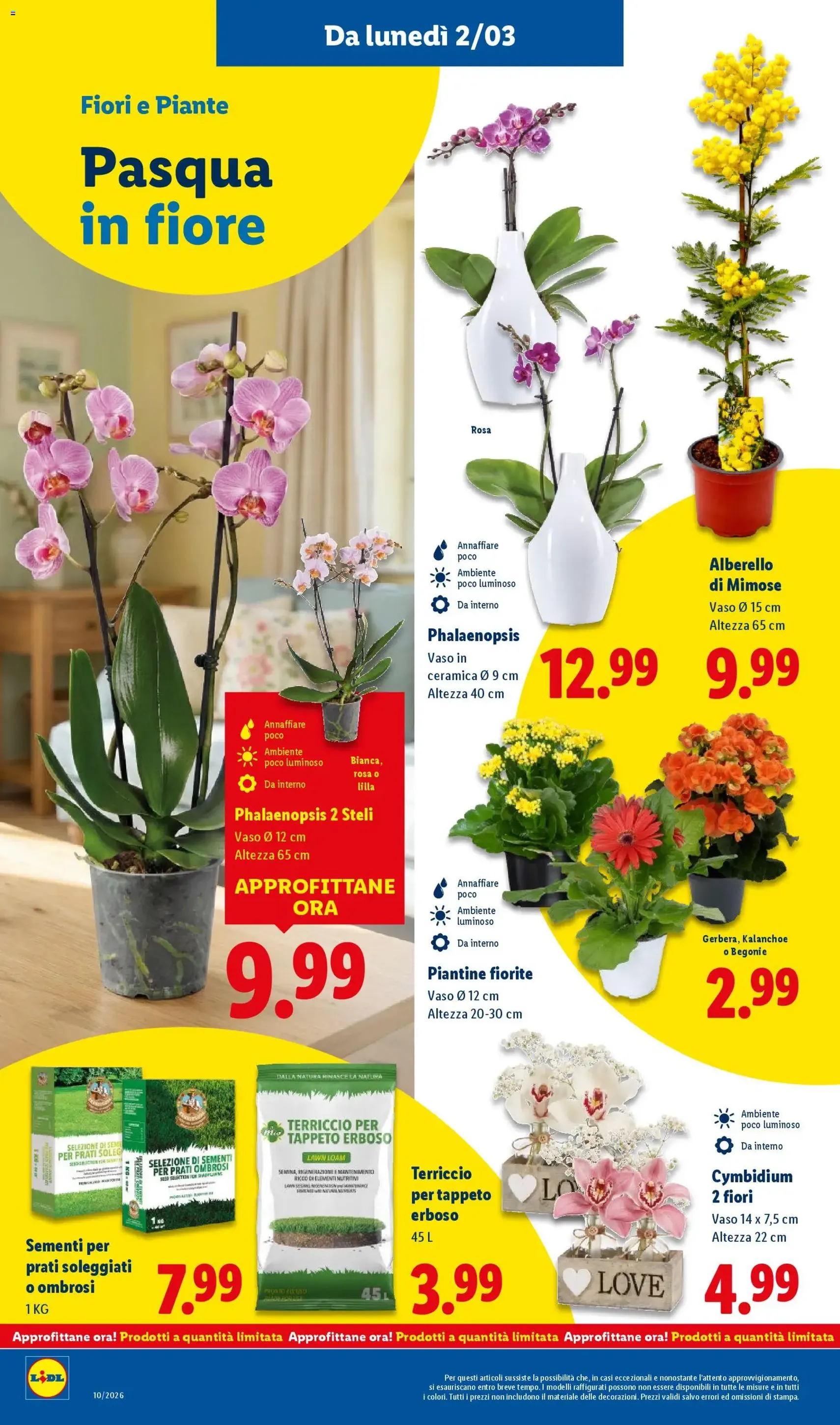 Volantino Lidl - volantino valido dal 02/03/2026 pagina 40 di 57