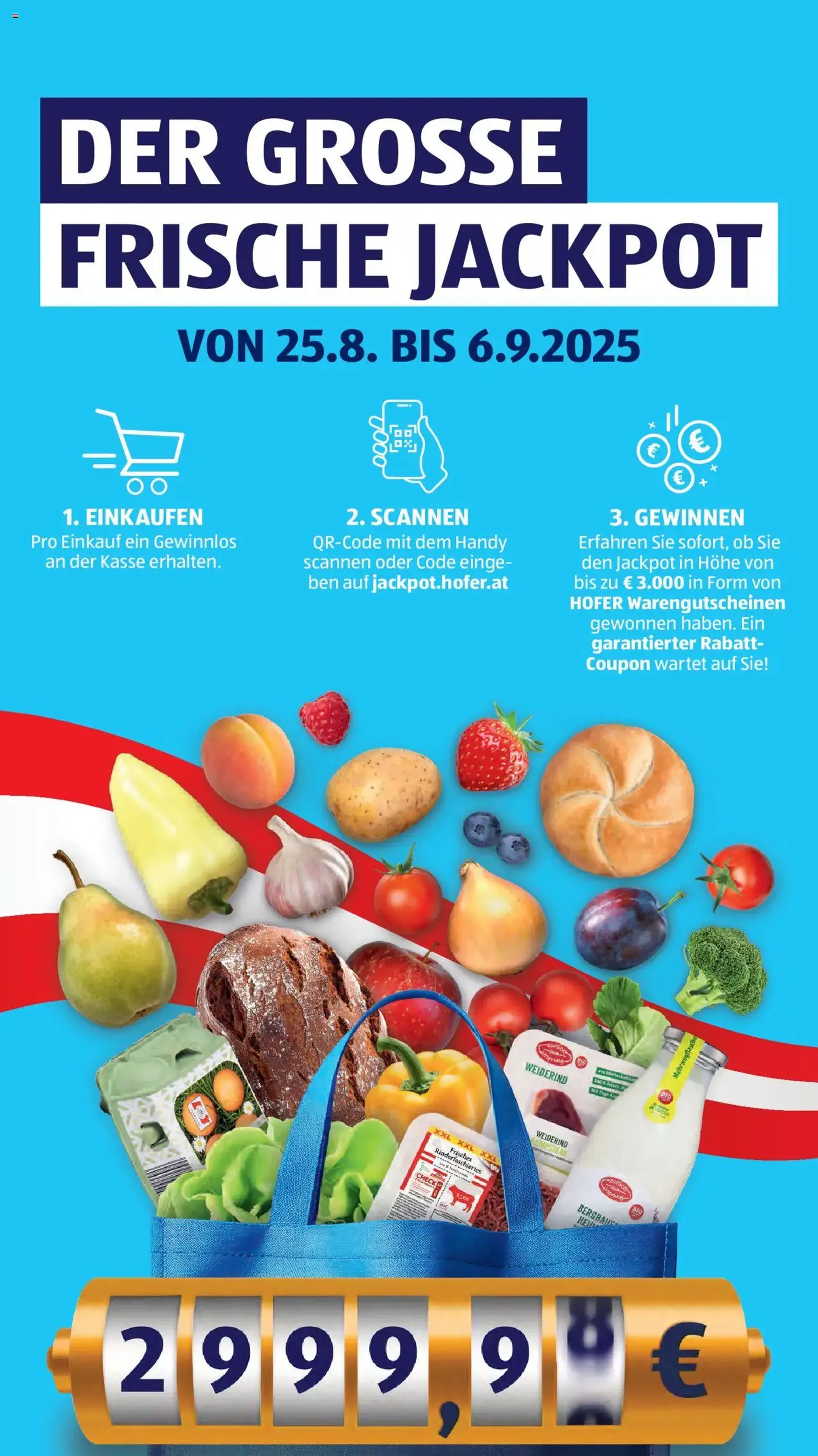 Hofer Flugblatt - Gültiger Prospekt ab 29.08.2025, Seite 22 von insgesamt 37