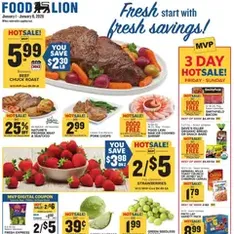 Food Lion Weekly Ad - Flyer preview valid from 01/01/2026
