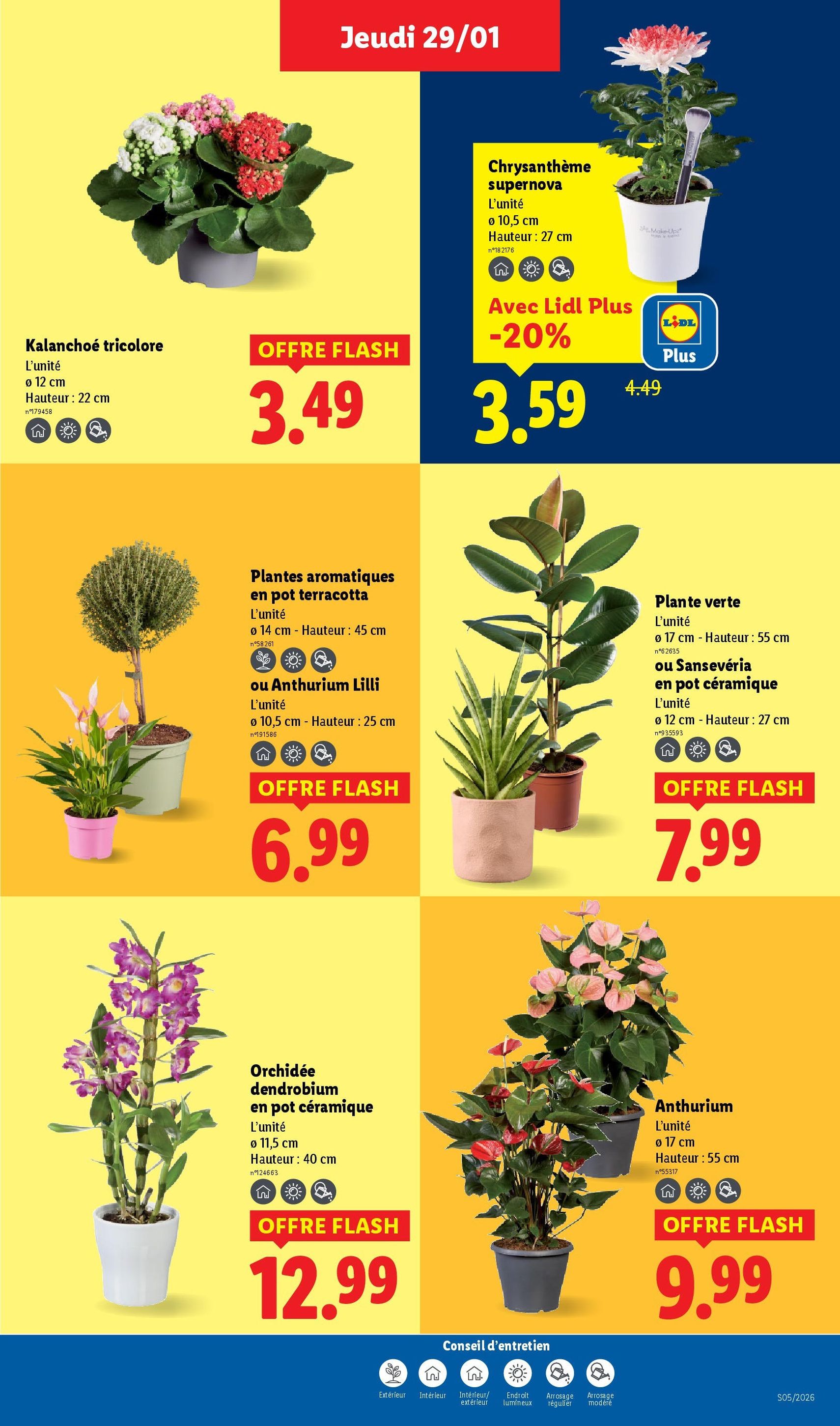 LIDL catalogue semaine 5 - brochure valable à partir du 29/01/2026, page 29 sur 75