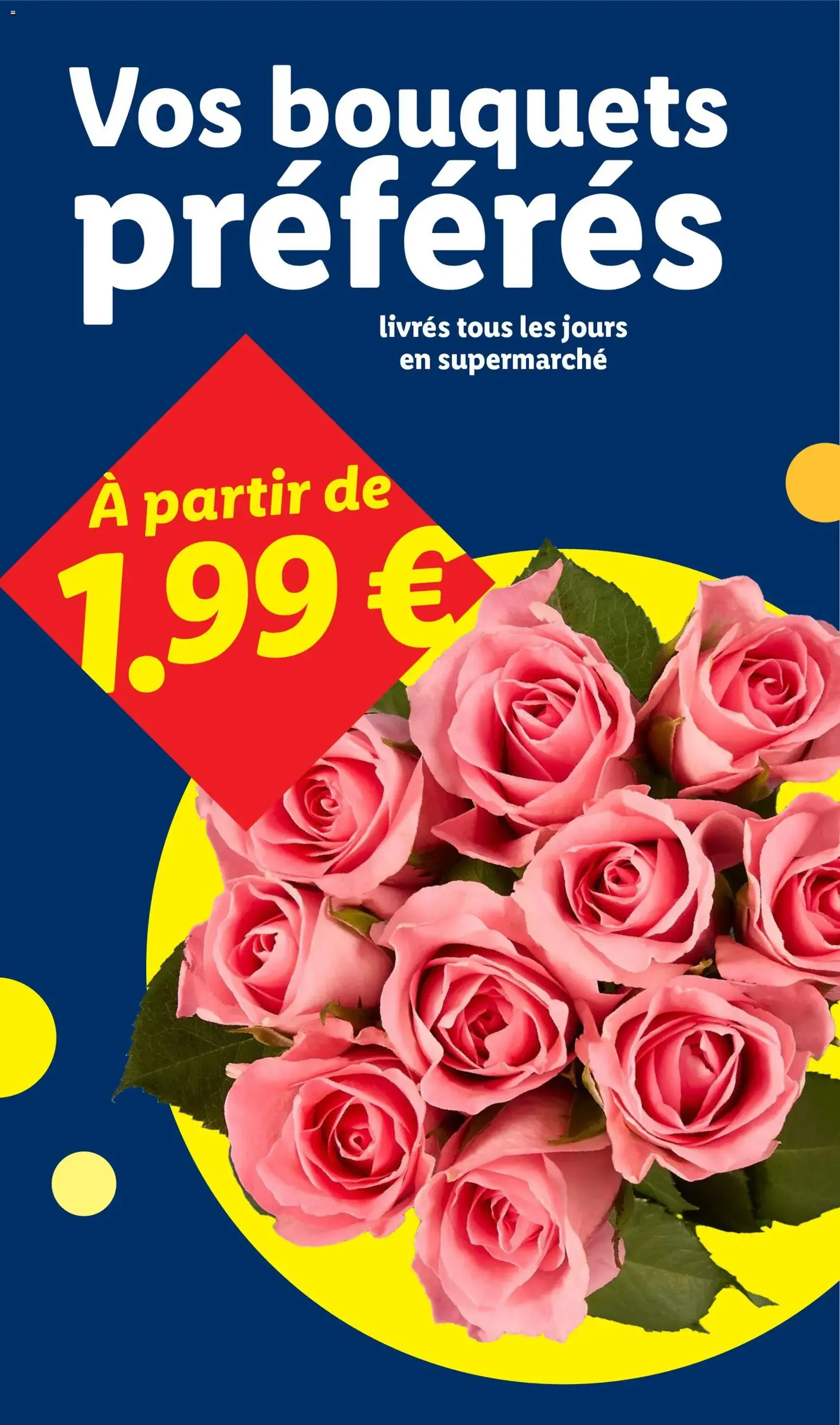 LIDL catalogue semaine 11 - brochure valable à partir du 12/03/2026, page 28 sur 71