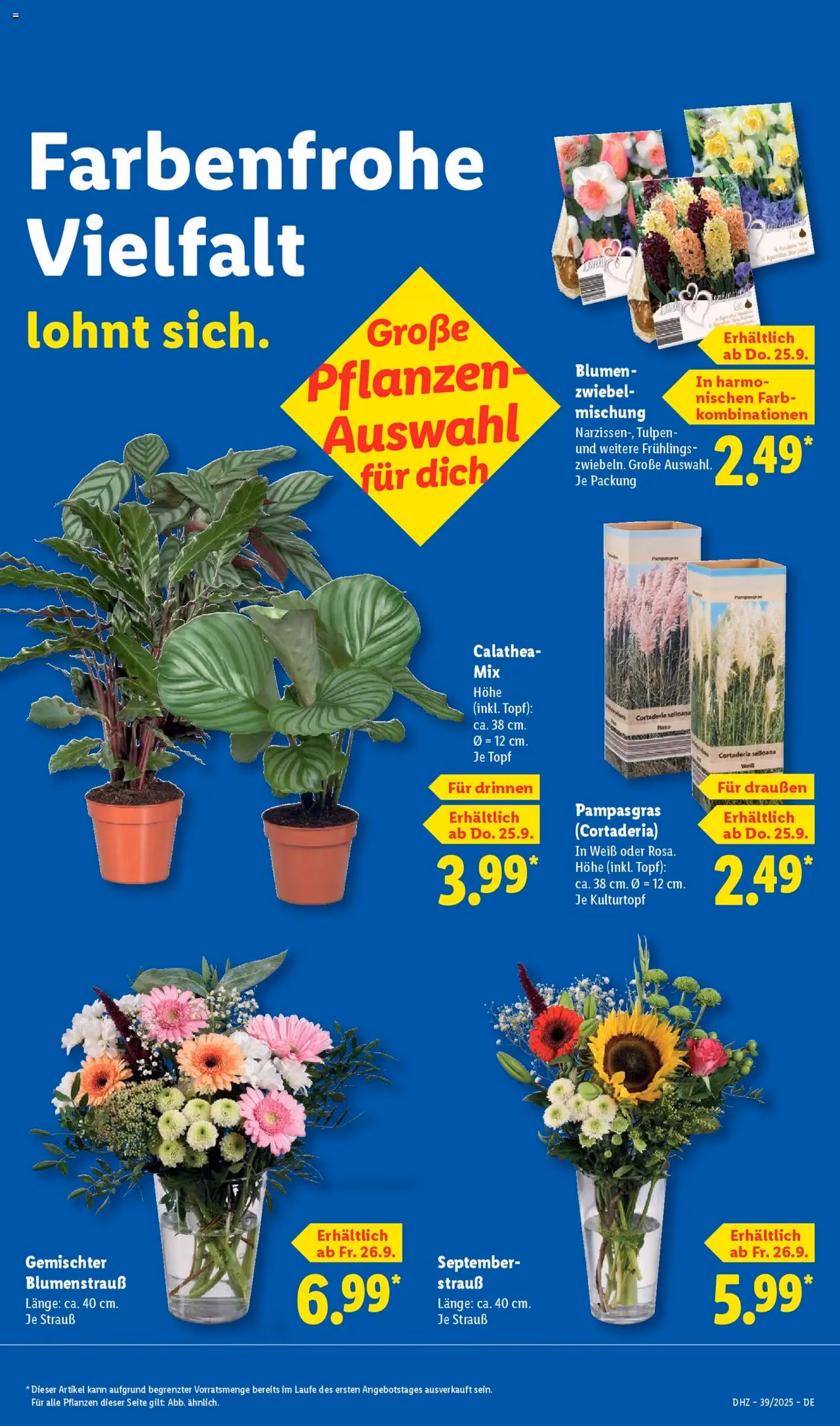 Lidl Prospekt - Gültiger Prospekt ab 22.09.2025, Seite 65 von insgesamt 68