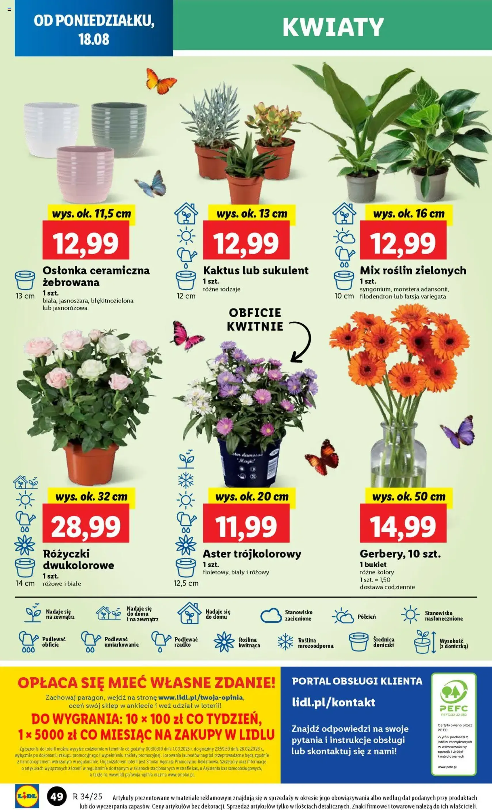 Lidl Gazetka - ważny gazetka od 18.08.2025 strona 64 z 66 Lidl Gazetka - ważny gazetka od 18.08.2025 strona 64 z 66