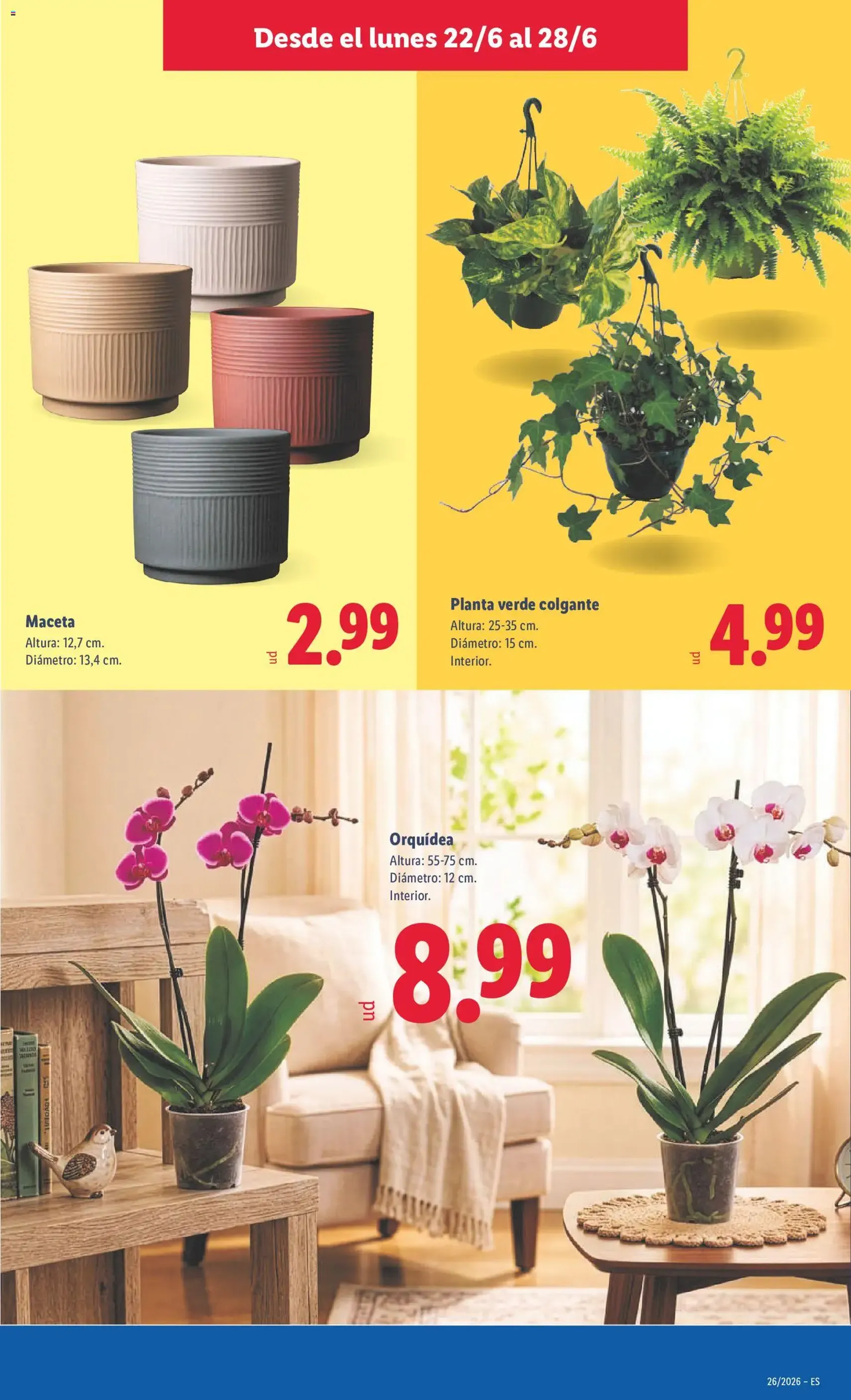 Lidl folleto - folleto válido desde 22/06/2026 página 41 de 43