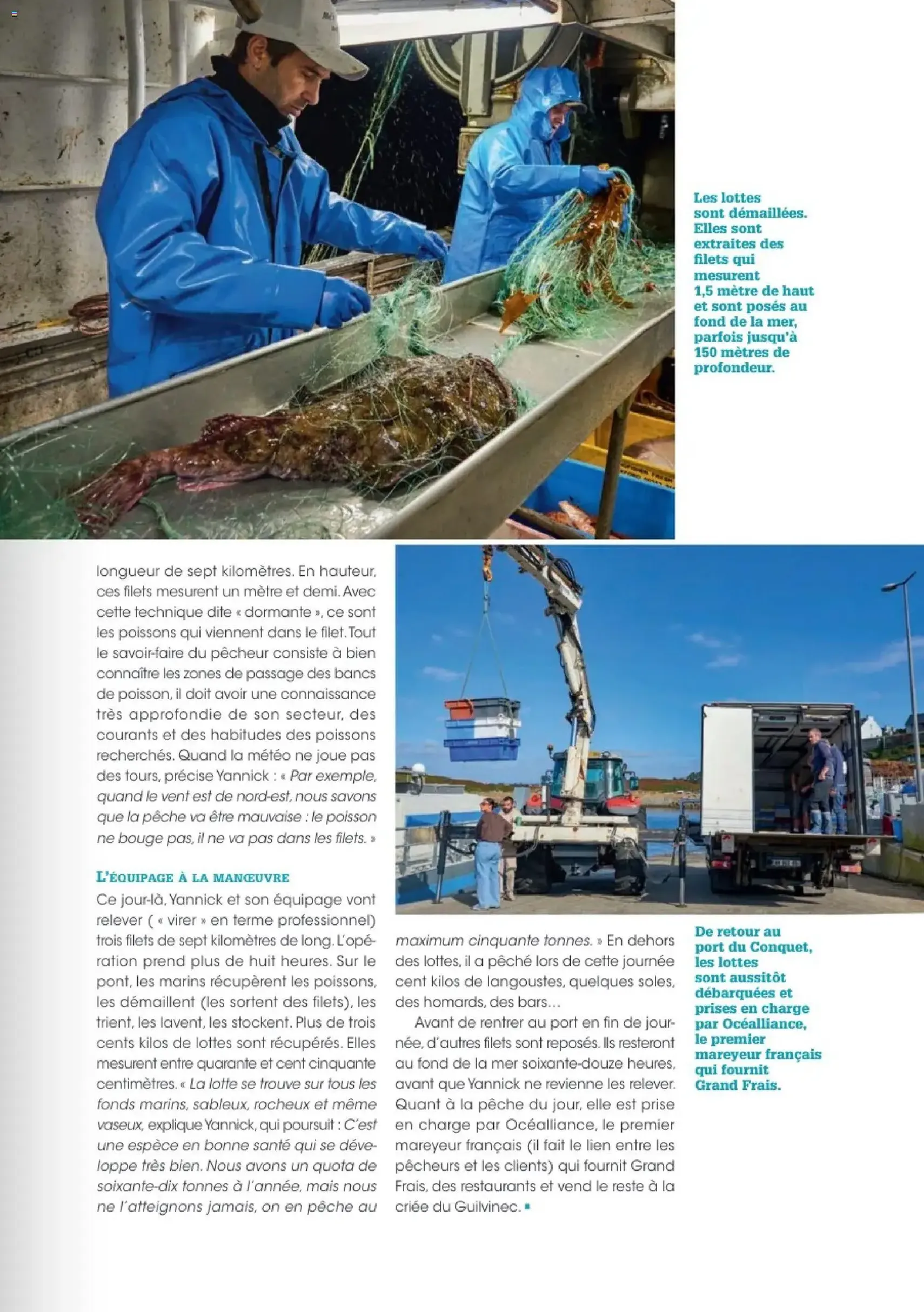 Grand Frais catalogue - brochure valable à partir du 01/12/2025, page 23 sur 76