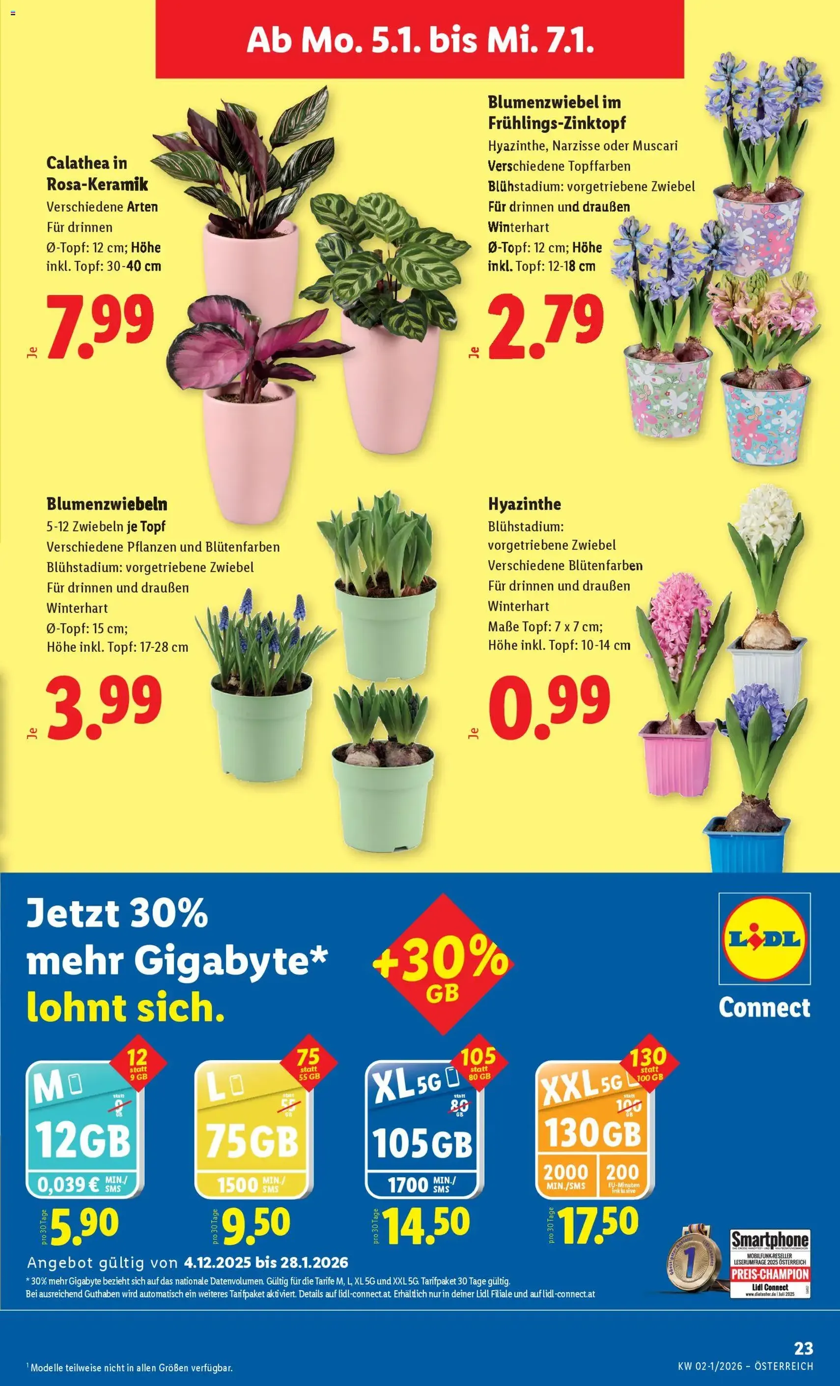 Lidl Flugblatt - Gültiger Prospekt ab 02.01.2026, Seite 25 von insgesamt 45