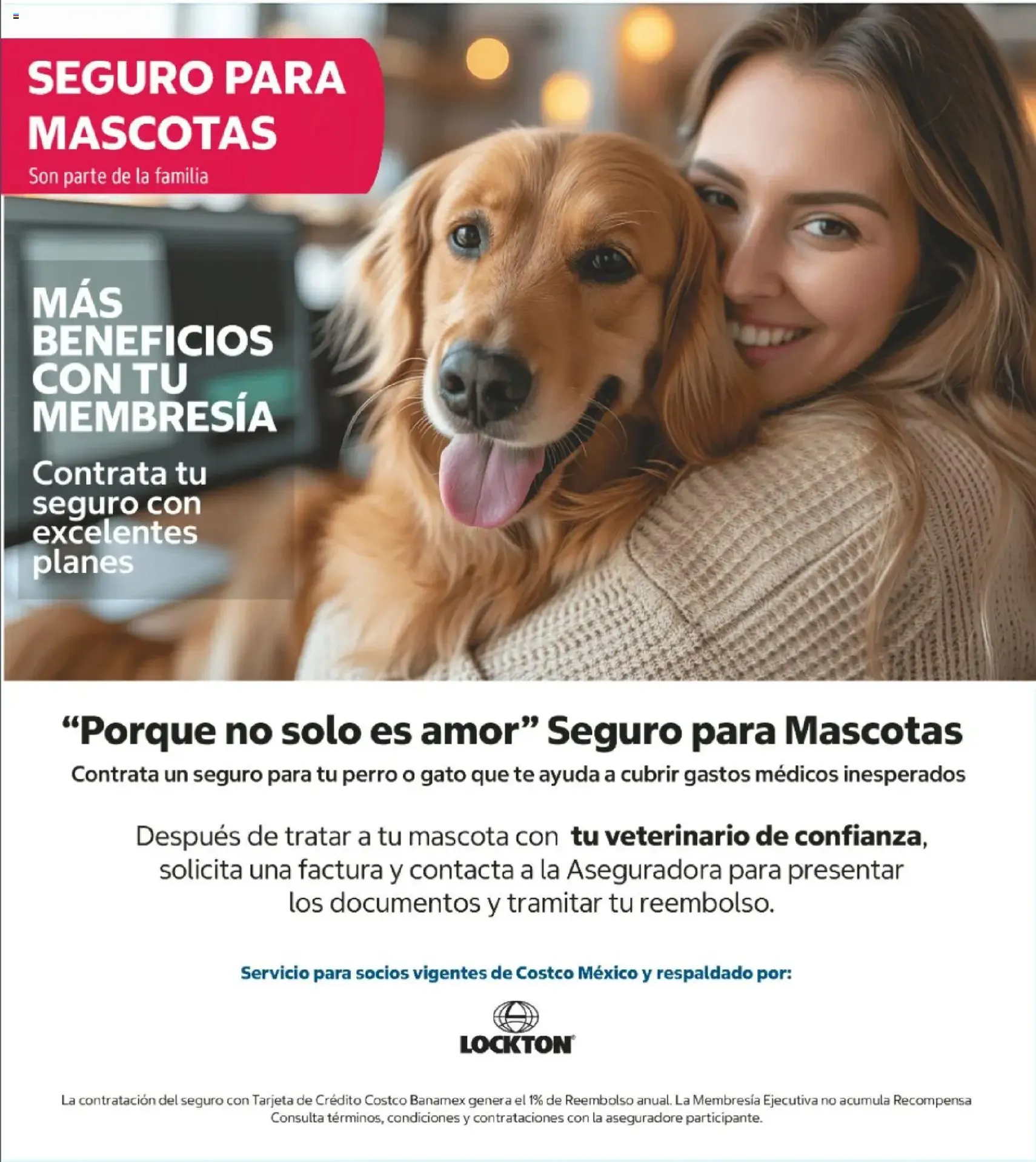 Costco catálogo - folleto válido desde 11/05/2026 página 8 de 8